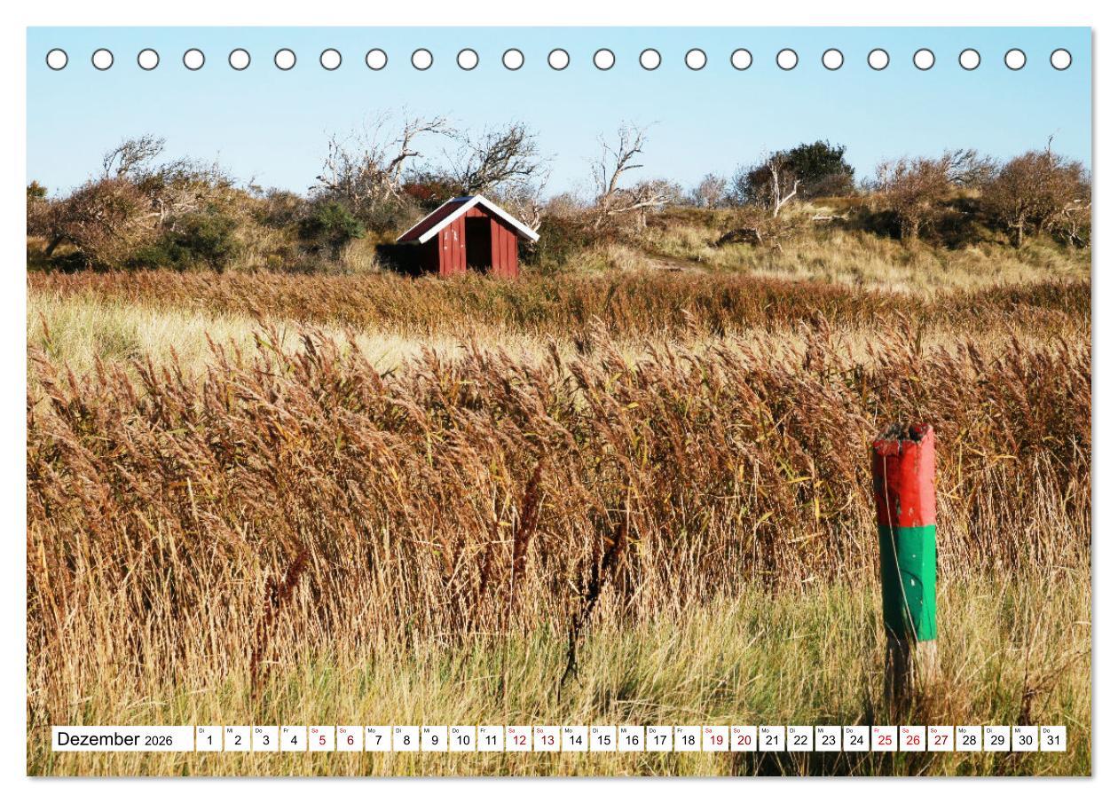 Beispielinhalt (Bild) Insel Baltrum, Perle im Ostfriesischen Wattenmeer (Tischkalender 2026 DIN A5 quer), CALVENDO Monatskalender