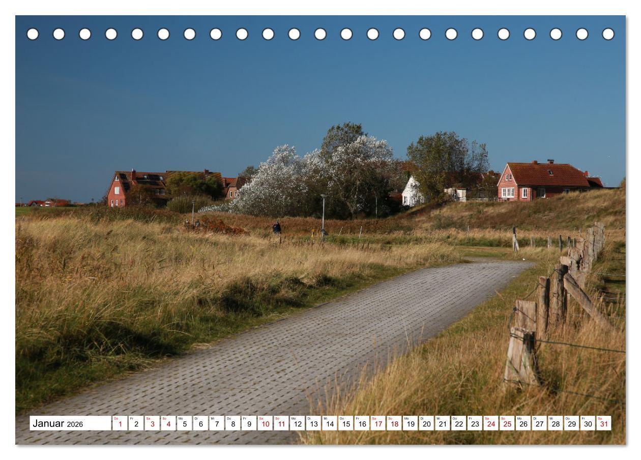 Beispielinhalt (Bild) Insel Baltrum, Perle im Ostfriesischen Wattenmeer (Tischkalender 2026 DIN A5 quer), CALVENDO Monatskalender