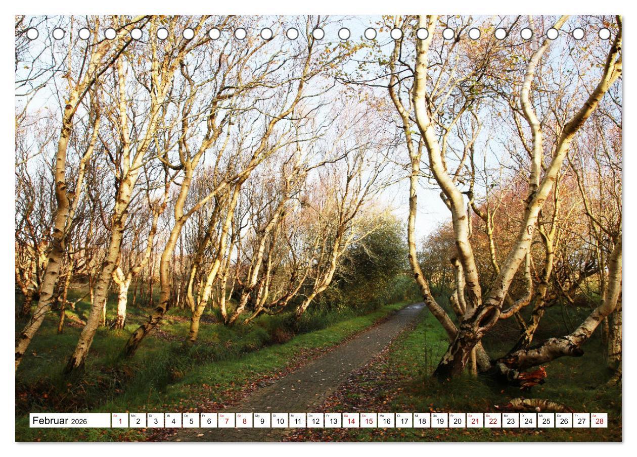 Beispielinhalt (Bild) Insel Baltrum, Perle im Ostfriesischen Wattenmeer (Tischkalender 2026 DIN A5 quer), CALVENDO Monatskalender