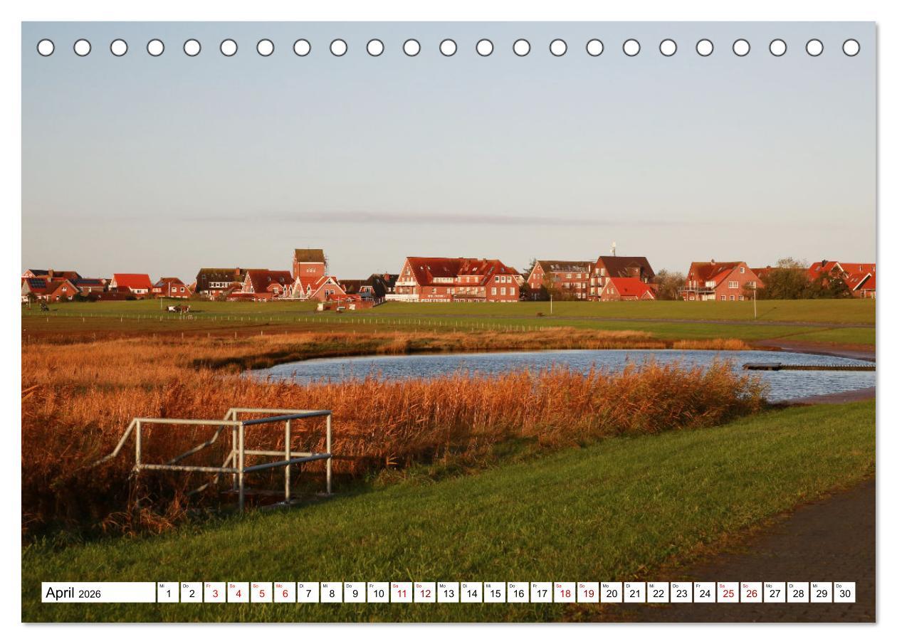 Beispielinhalt (Bild) Insel Baltrum, Perle im Ostfriesischen Wattenmeer (Tischkalender 2026 DIN A5 quer), CALVENDO Monatskalender