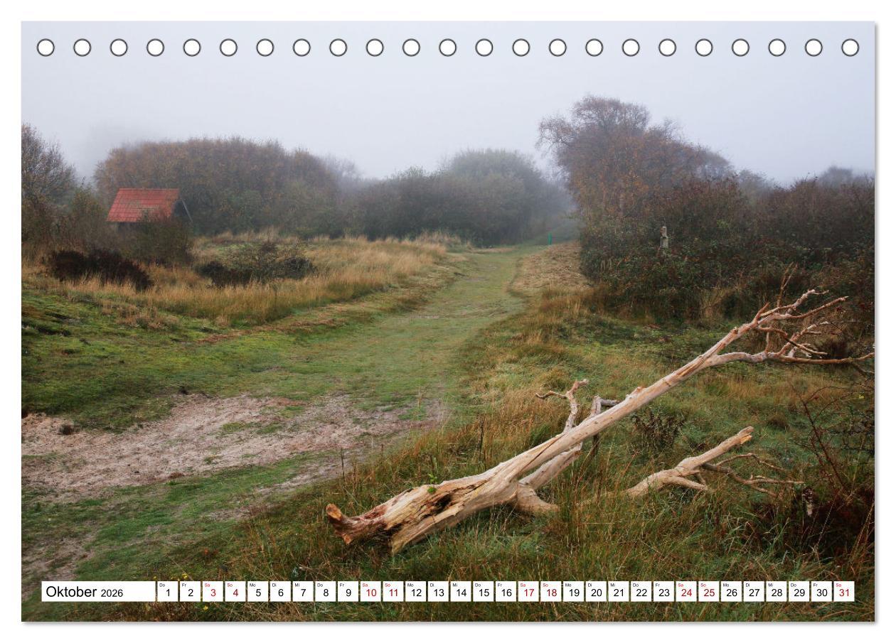 Beispielinhalt (Bild) Insel Baltrum, Perle im Ostfriesischen Wattenmeer (Tischkalender 2026 DIN A5 quer), CALVENDO Monatskalender