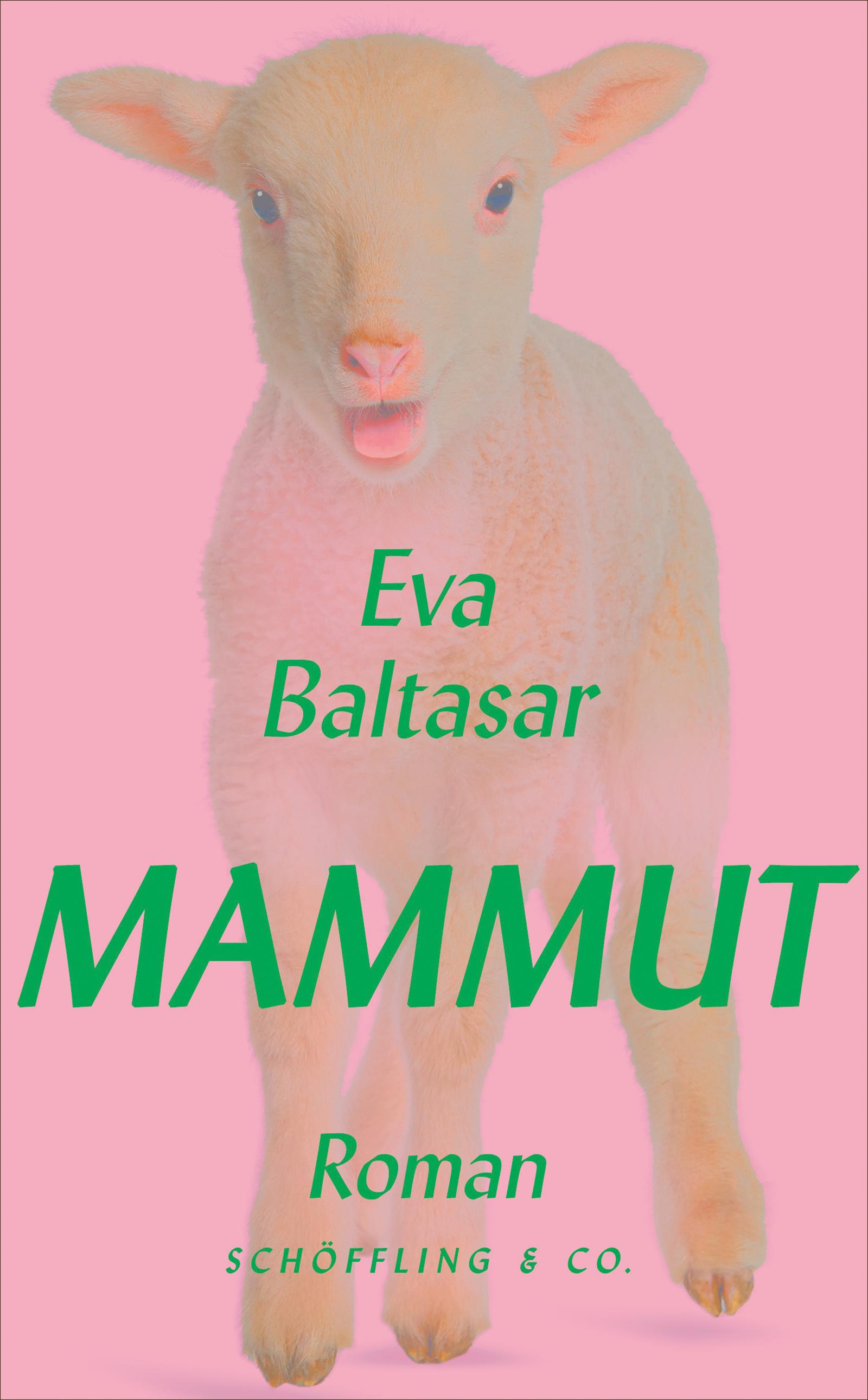 Vorderes Coverbild Mammut