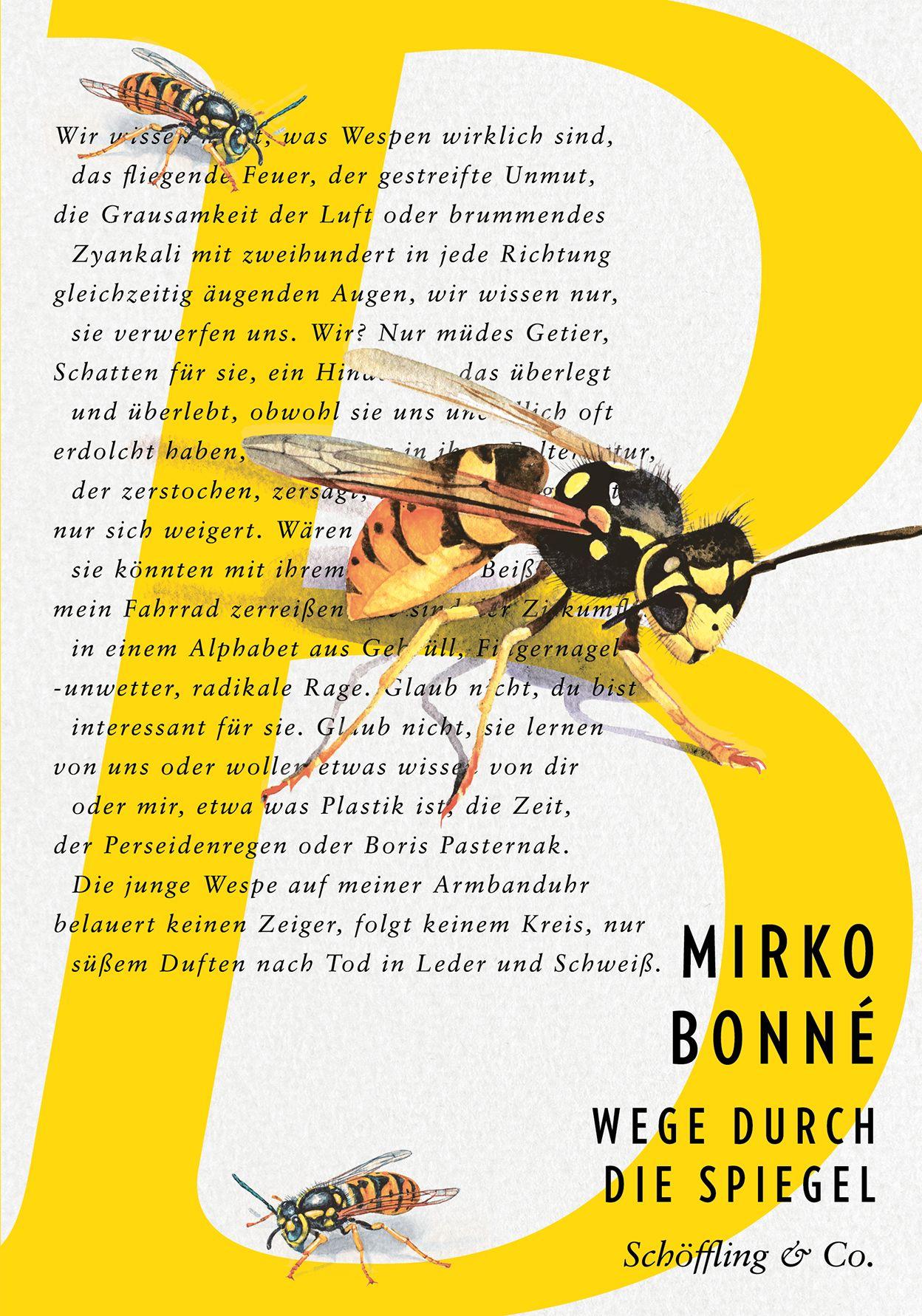 Vorderes Coverbild Wege durch die Spiegel