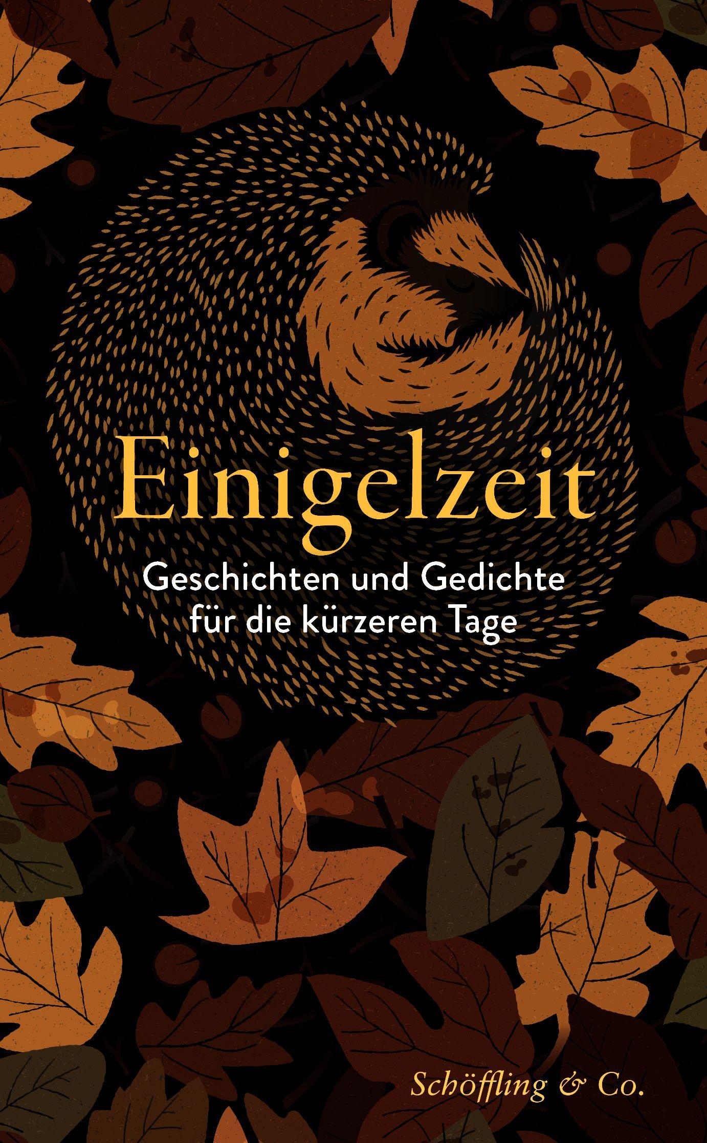 Vorderes Coverbild Einigelzeit