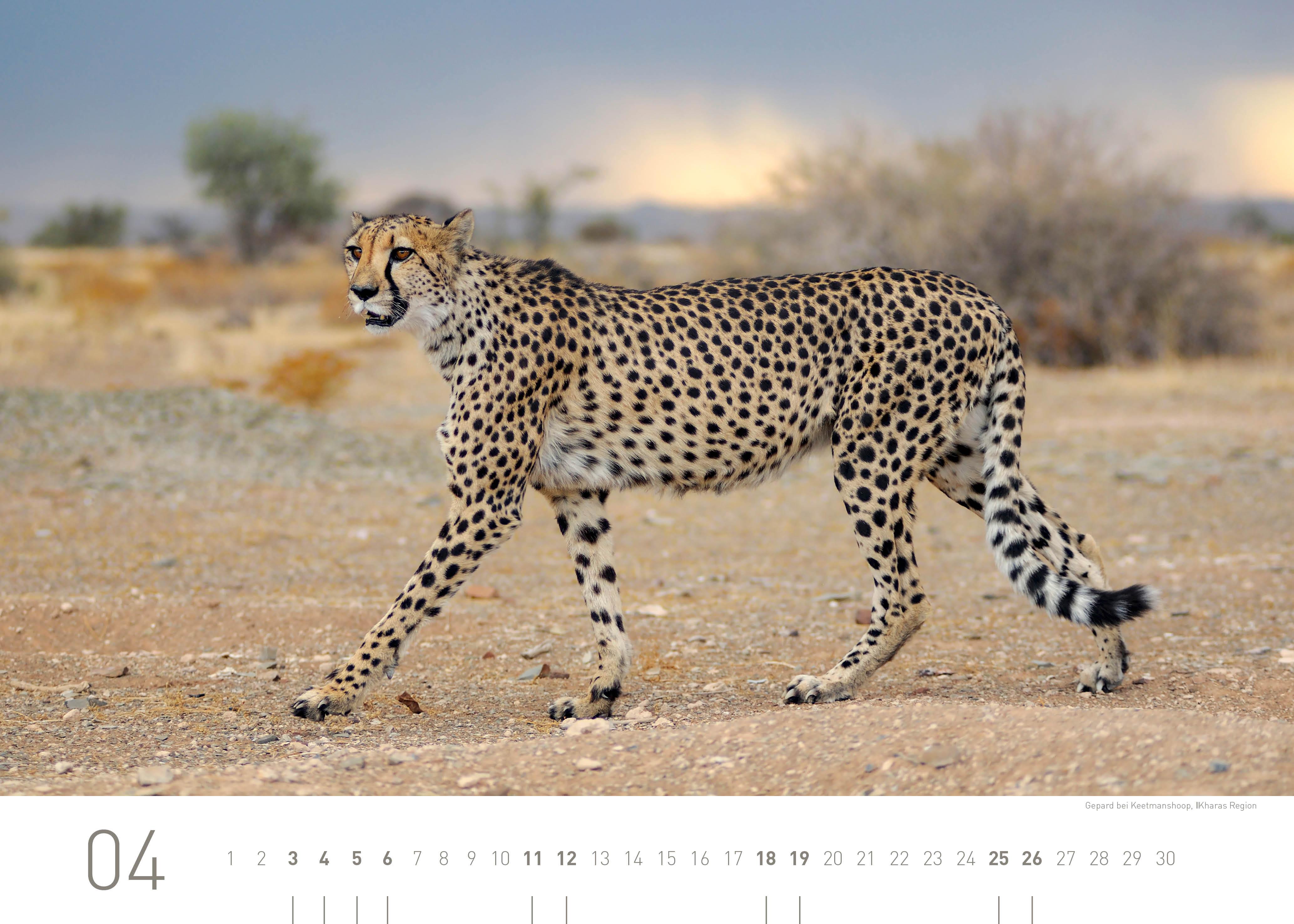 Beispielinhalt (Bild) Namibia Exklusivkalender 2026