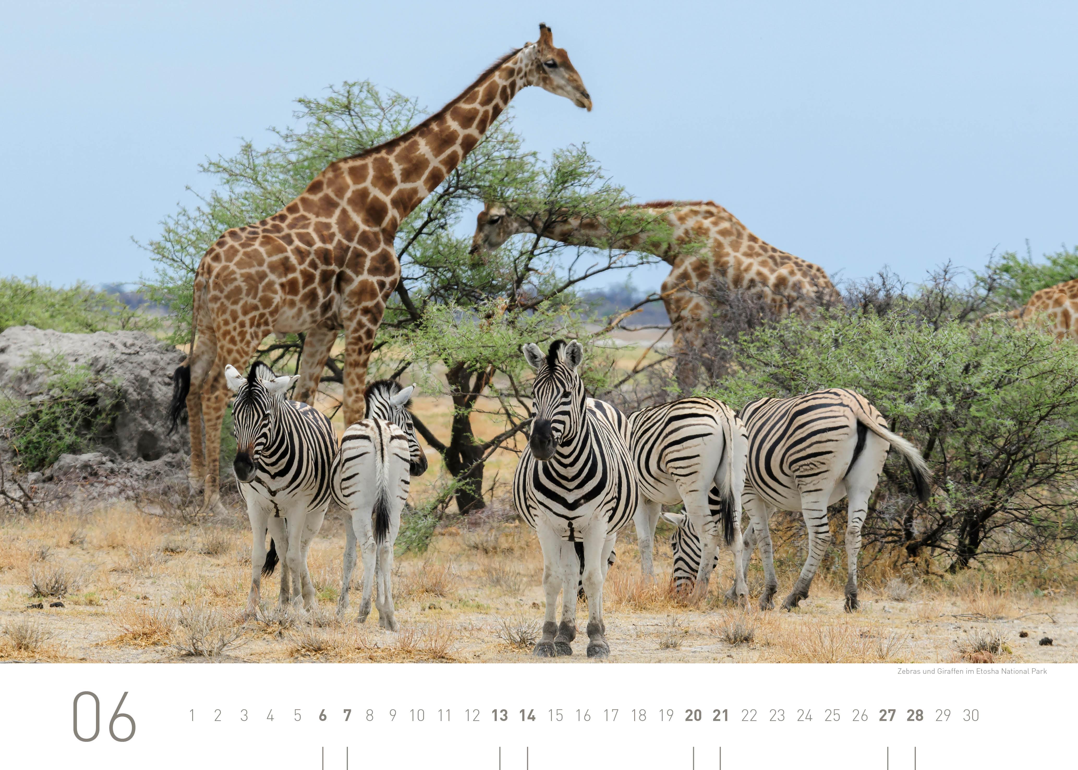 Beispielinhalt (Bild) Namibia Exklusivkalender 2026