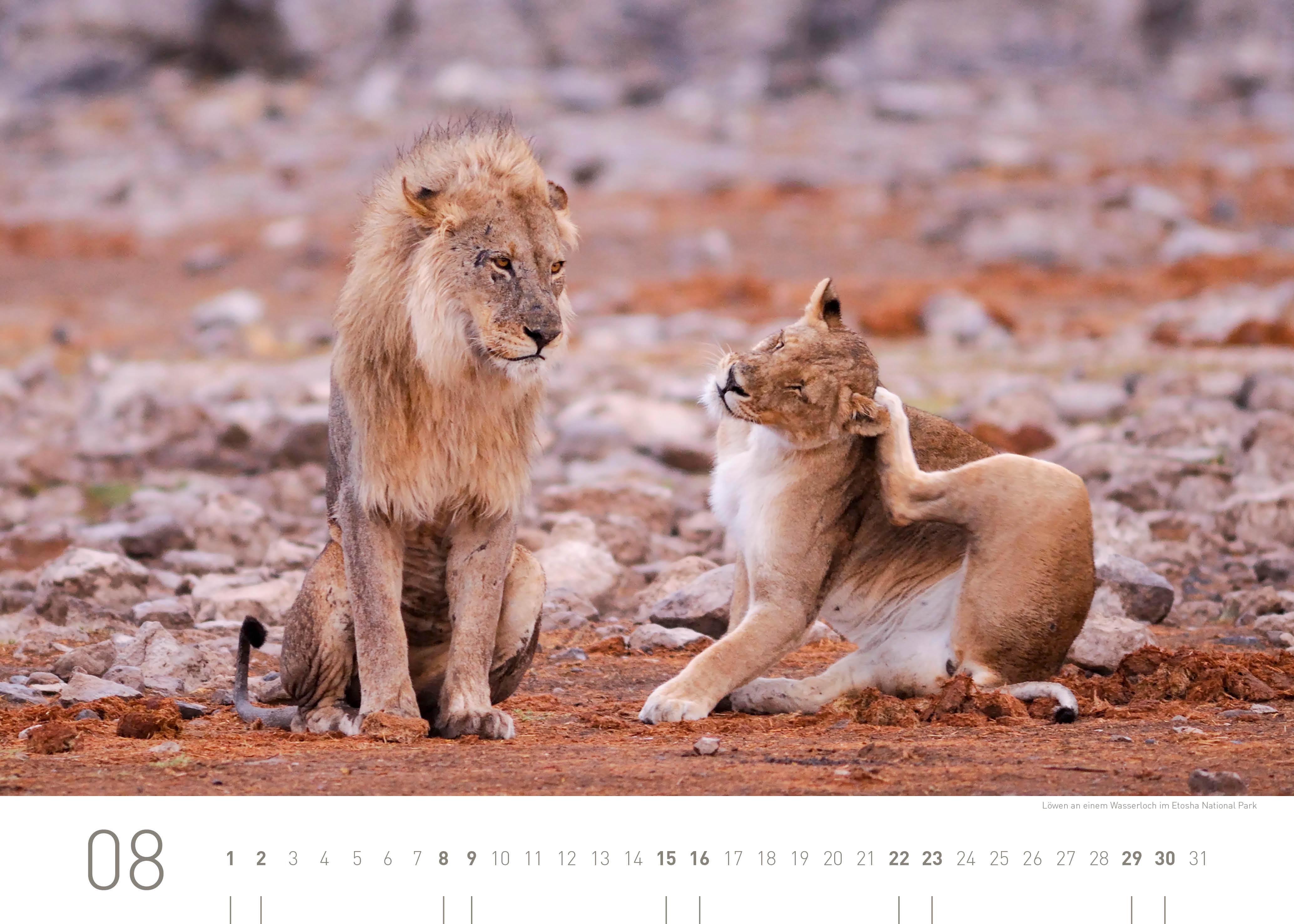 Beispielinhalt (Bild) Namibia Exklusivkalender 2026