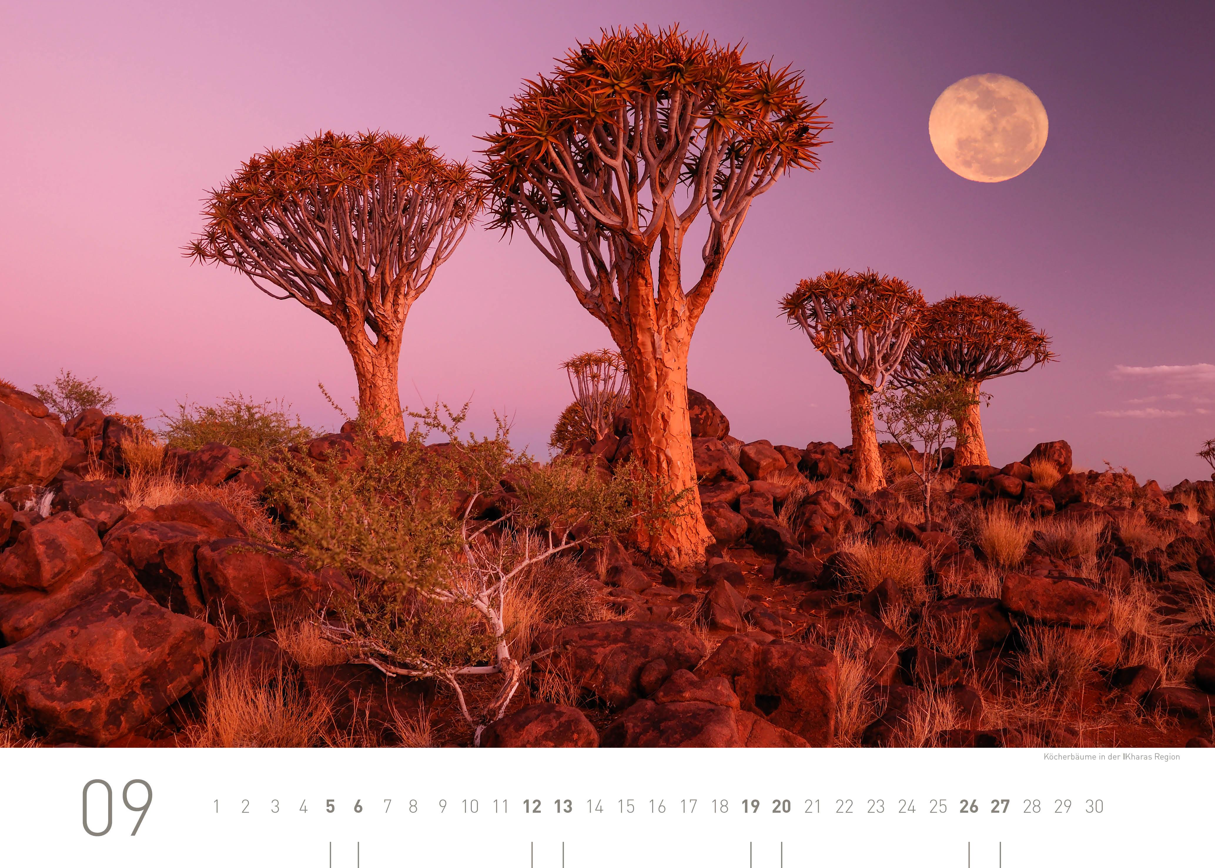 Beispielinhalt (Bild) Namibia Exklusivkalender 2026