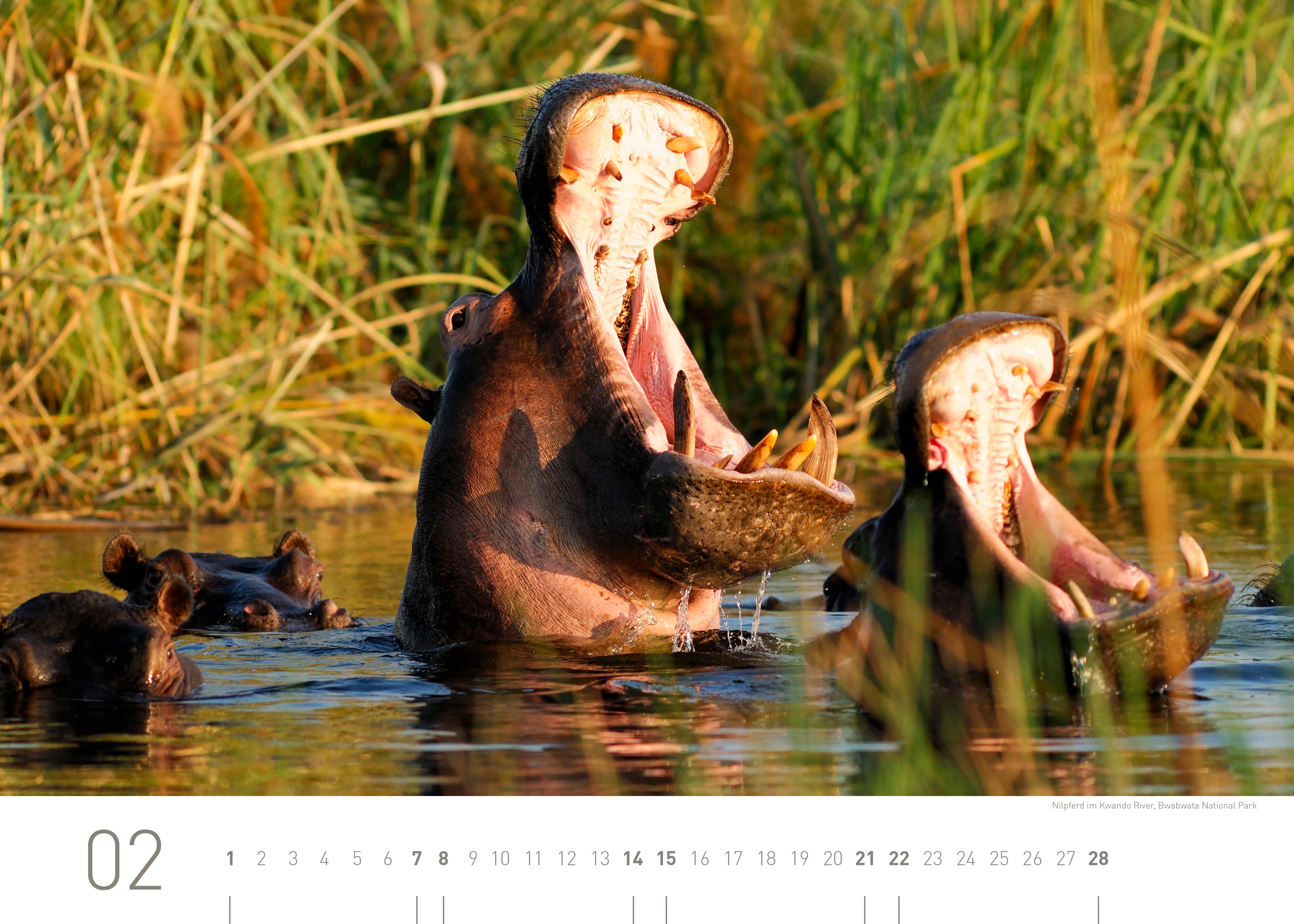 Beispielinhalt (Bild) Namibia Exklusivkalender 2026