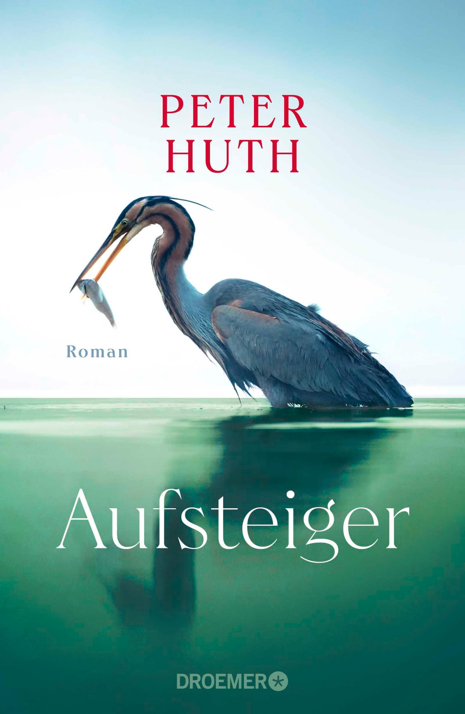 Vorderes Coverbild Aufsteiger