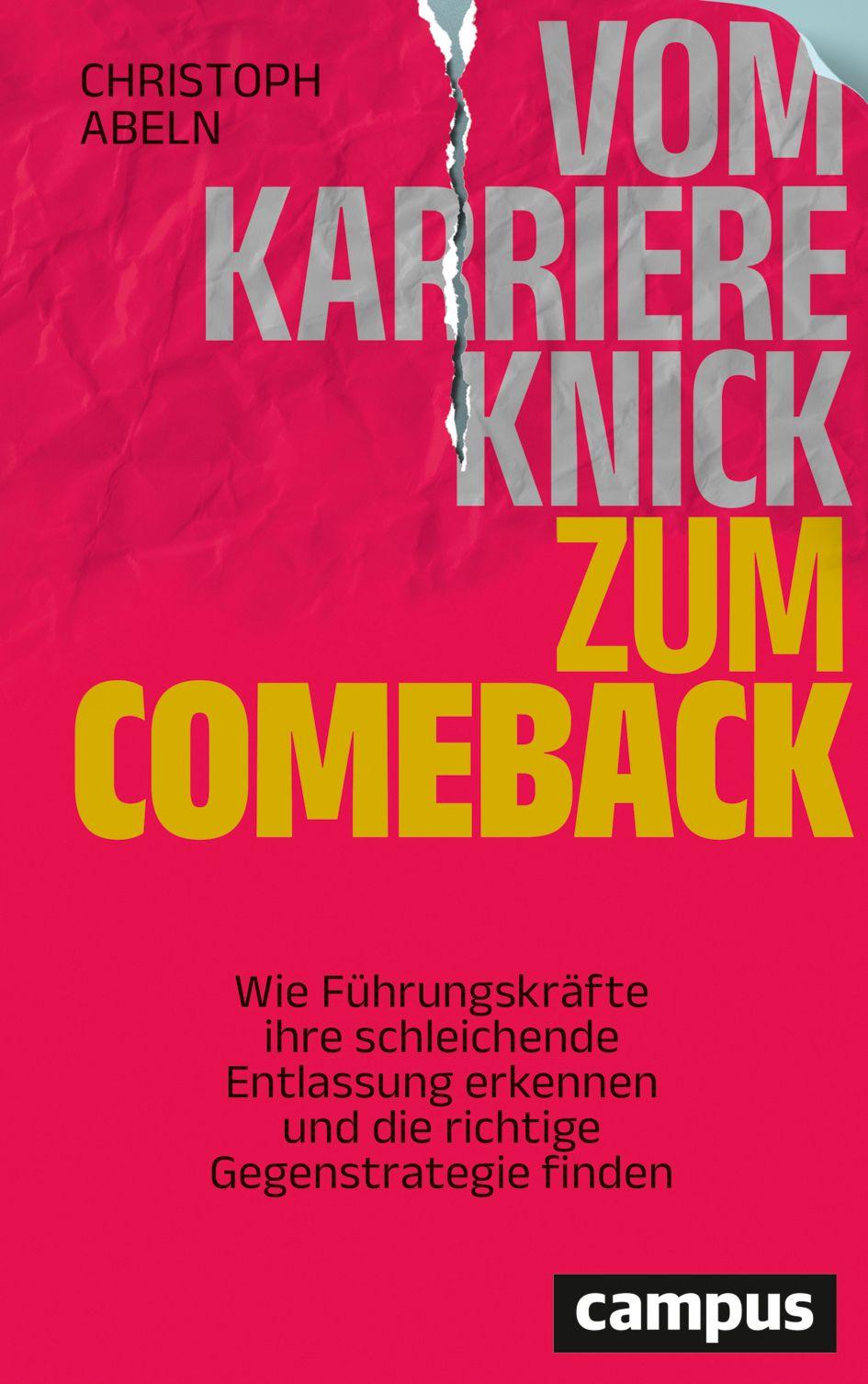 Vorderes Coverbild Vom Karriereknick zum Comeback