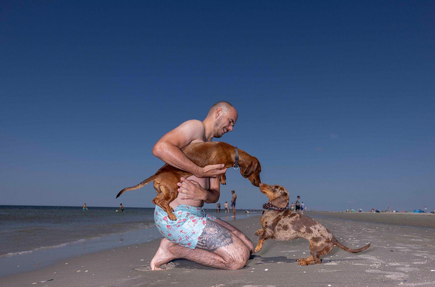 Beispielinhalt (Bild) HUNDESTRAND