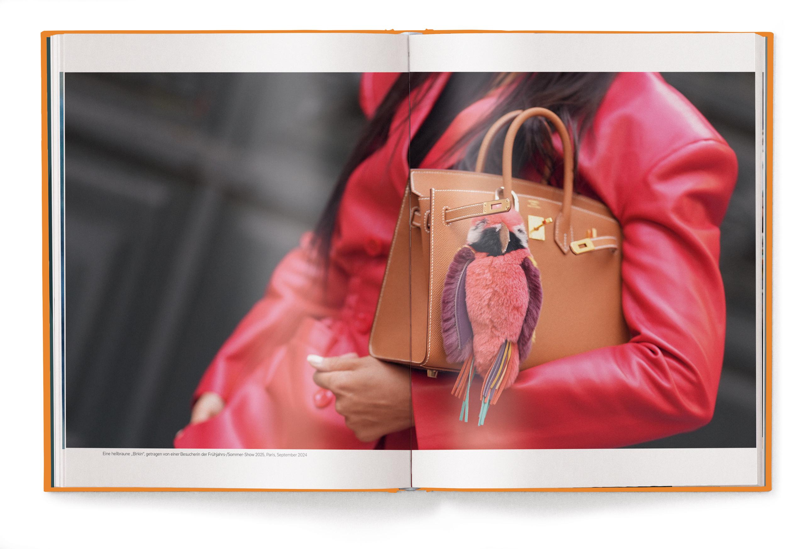 Beispielinhalt (Bild) Hermès Bags: Der ultimative Guide