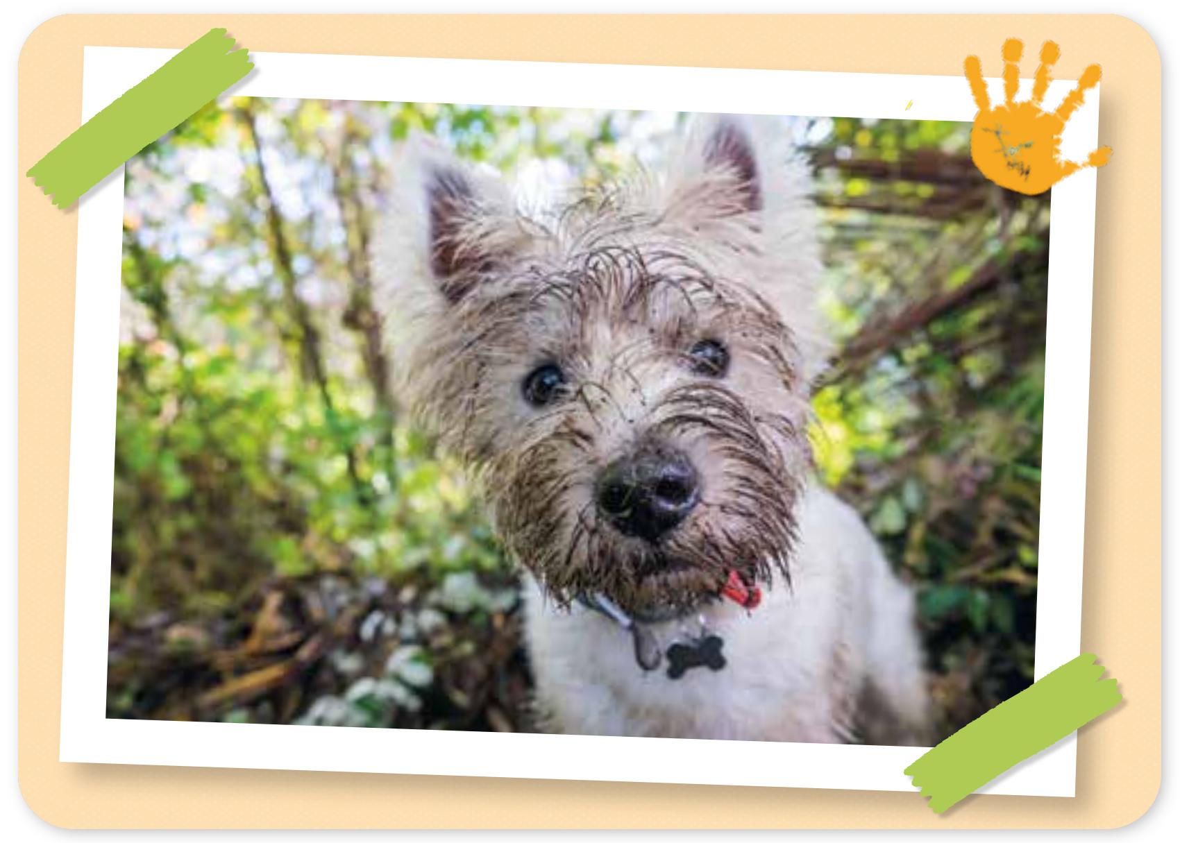 Beispielinhalt (Bild) Das kann ich schon - Gegensätze erkennen