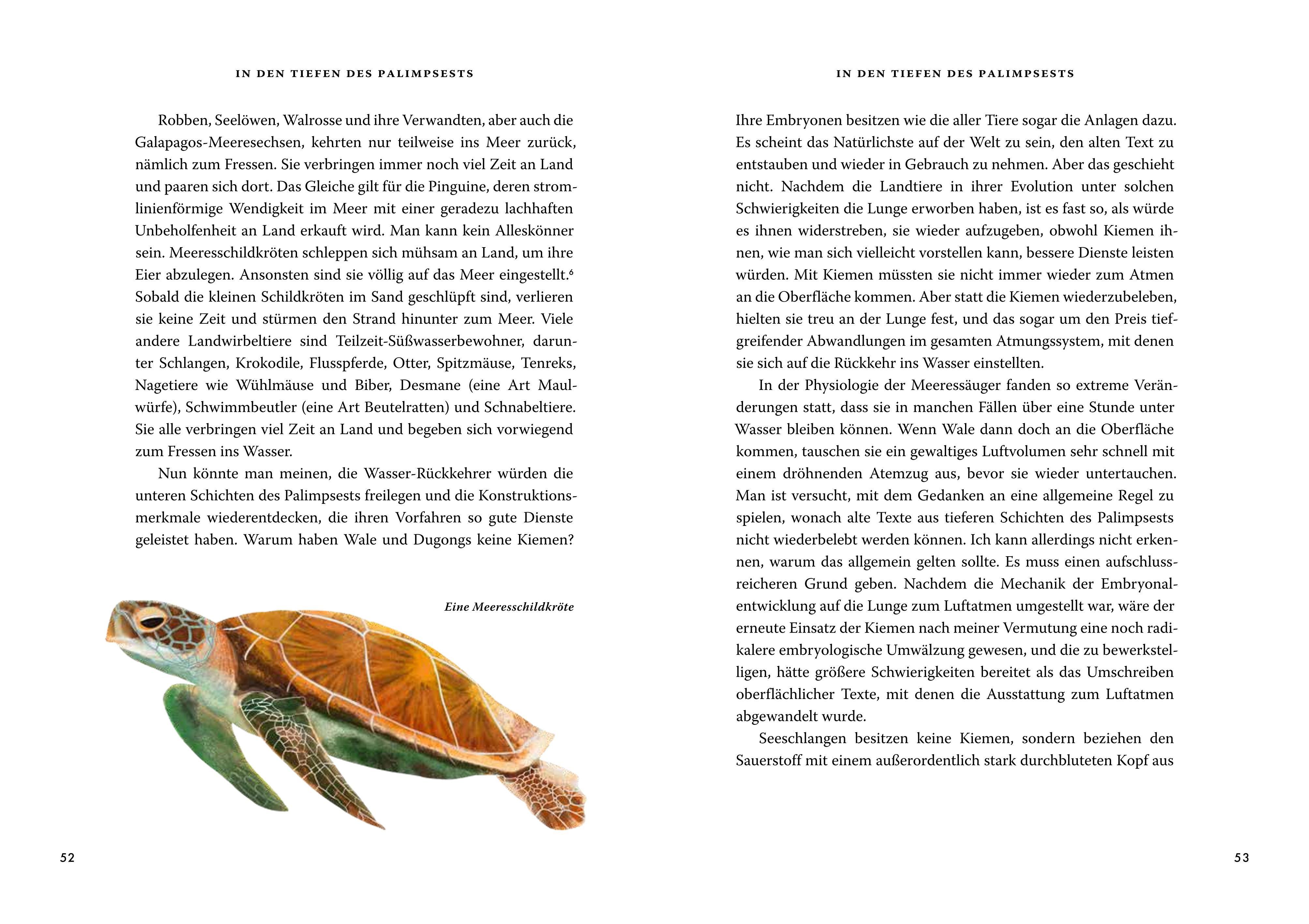 Beispielinhalt (Bild) Das große Buch der Evolution