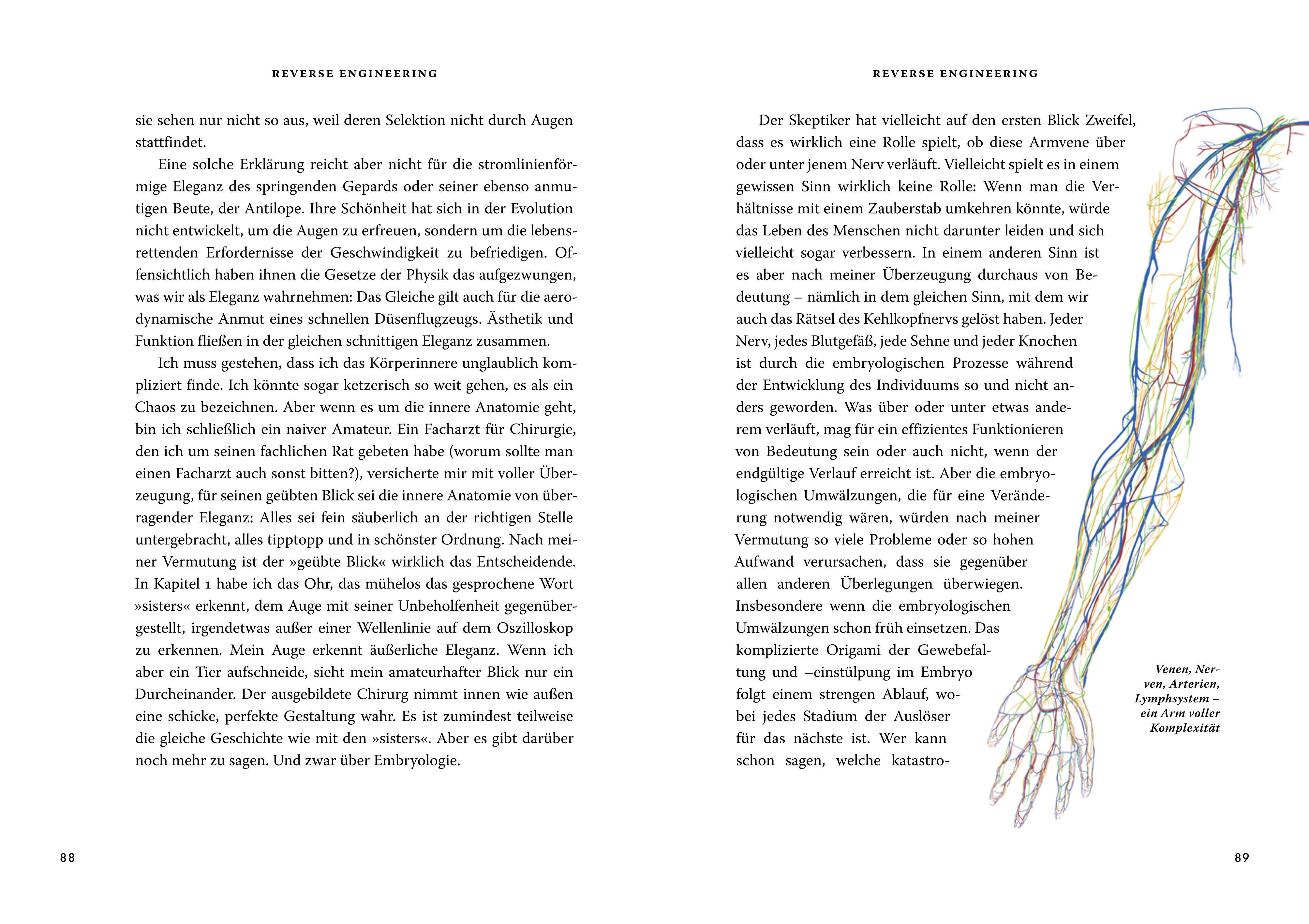 Beispielinhalt (Bild) Das große Buch der Evolution