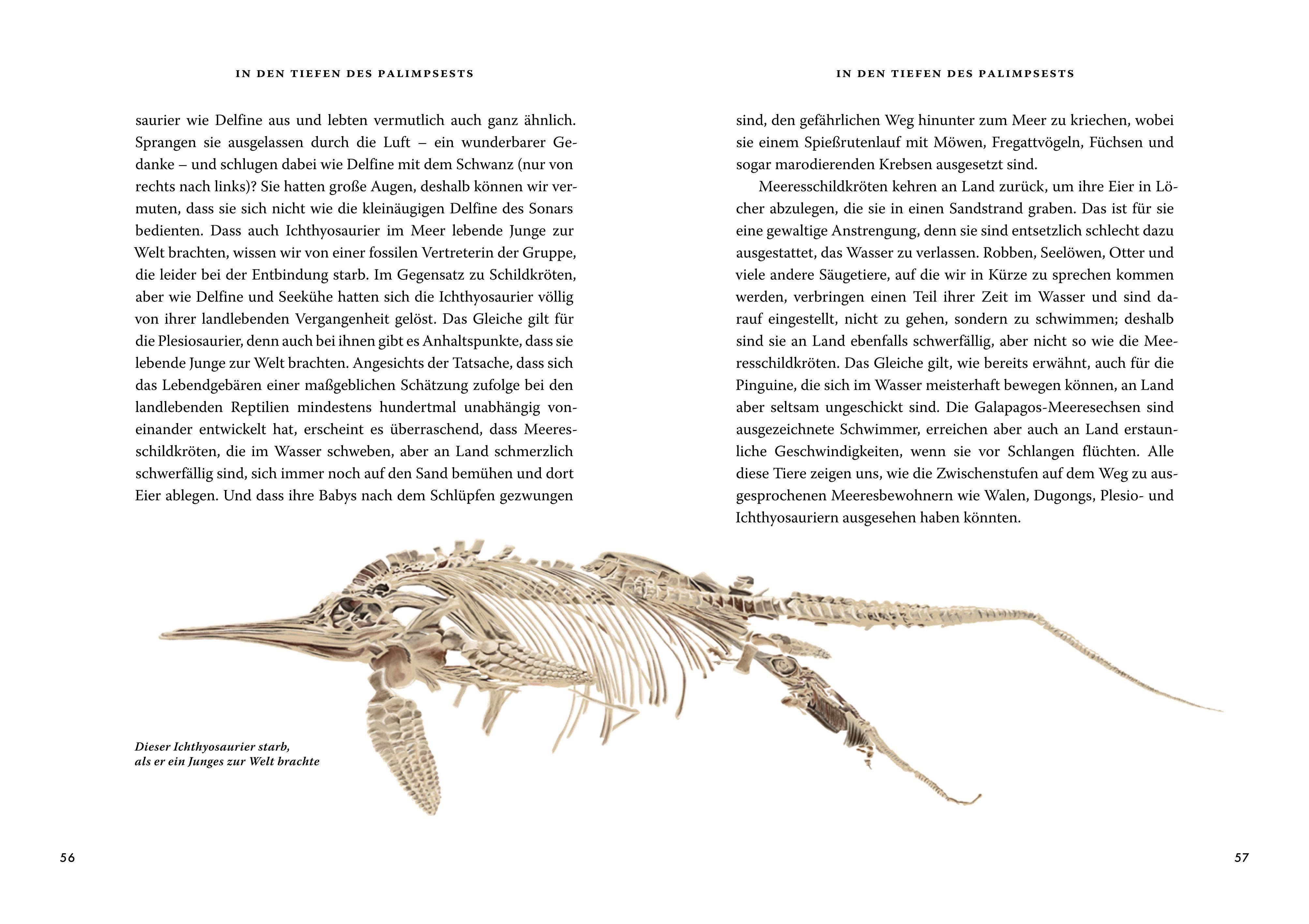 Beispielinhalt (Bild) Das große Buch der Evolution