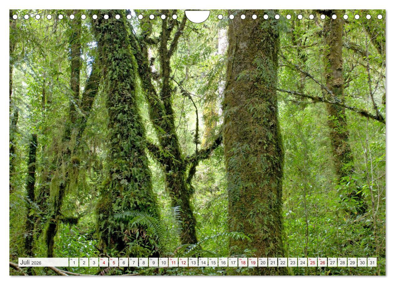 Beispielinhalt (Bild) Magie dieses Südamerikanischen Landes, Chile (Wandkalender 2026 DIN A4 quer), CALVENDO Monatskalender