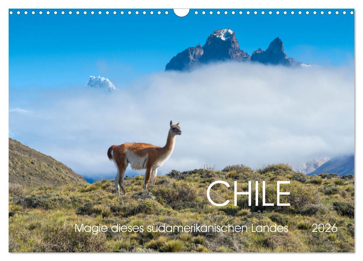 Vorderes Coverbild Magie dieses Südamerikanischen Landes, Chile (Wandkalender 2026 DIN A3 quer), CALVENDO Monatskalender