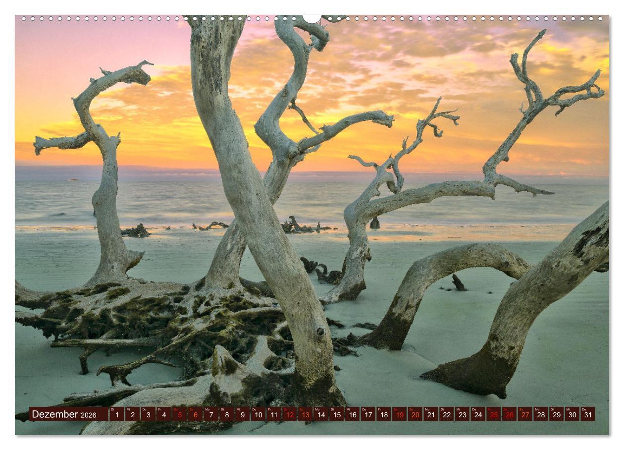 Beispielinhalt (Bild) Kraftplatz Wilde Küsten (hochwertiger Premium Wandkalender 2026 DIN A2 quer), Kunstdruck in Hochglanz