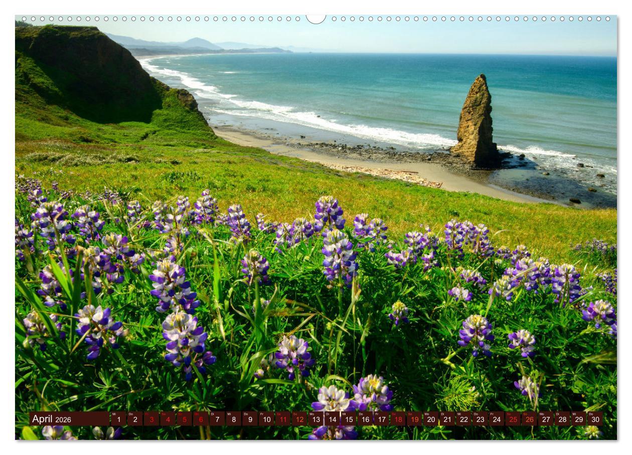 Beispielinhalt (Bild) Kraftplatz Wilde Küsten (hochwertiger Premium Wandkalender 2026 DIN A2 quer), Kunstdruck in Hochglanz