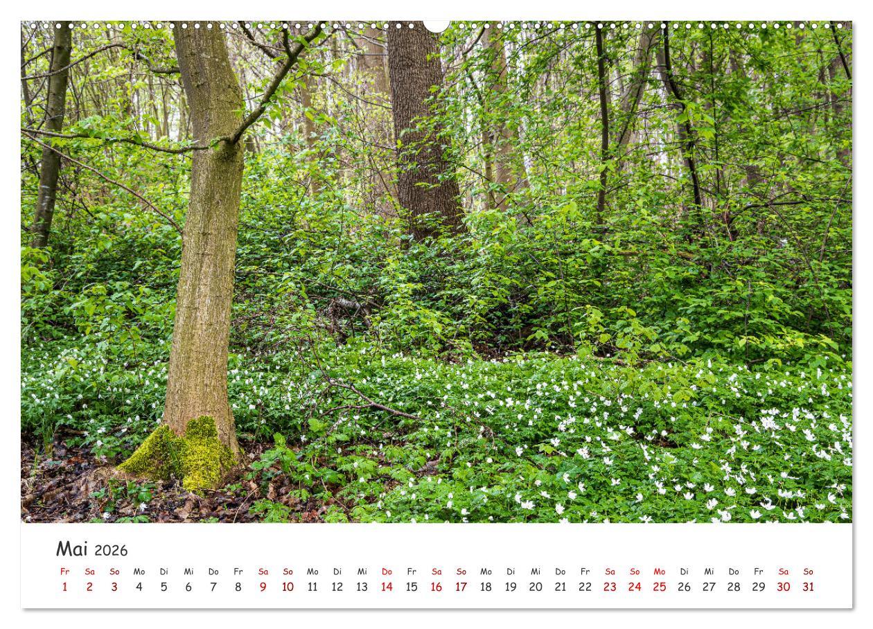 Beispielinhalt (Bild) Neusäß - Perle im Schmuttertal (hochwertiger Premium Wandkalender 2026 DIN A2 quer), Kunstdruck in Hochglanz