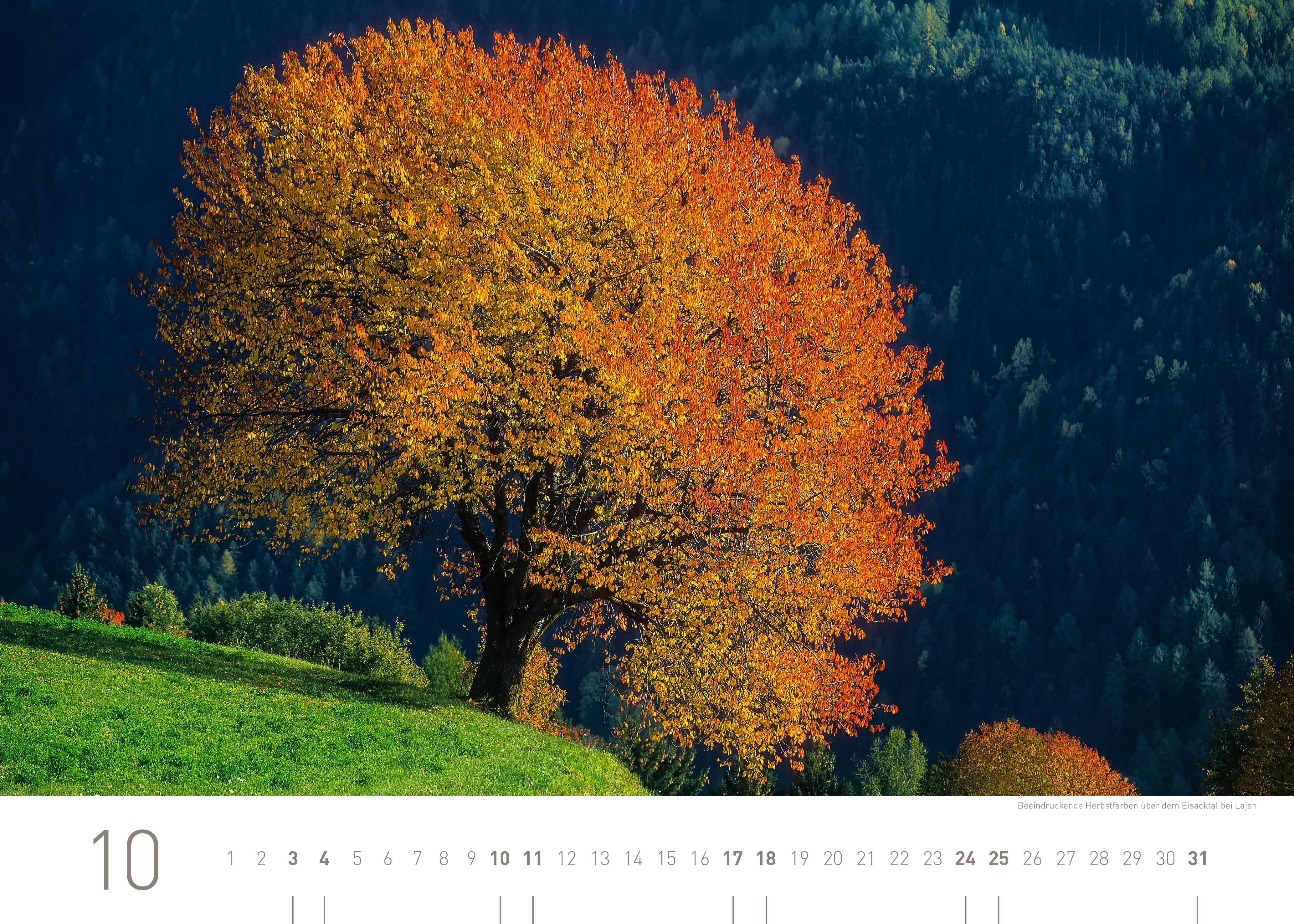 Beispielinhalt (Bild) Südtirol und Dolomiten Exklusivkalender 2026