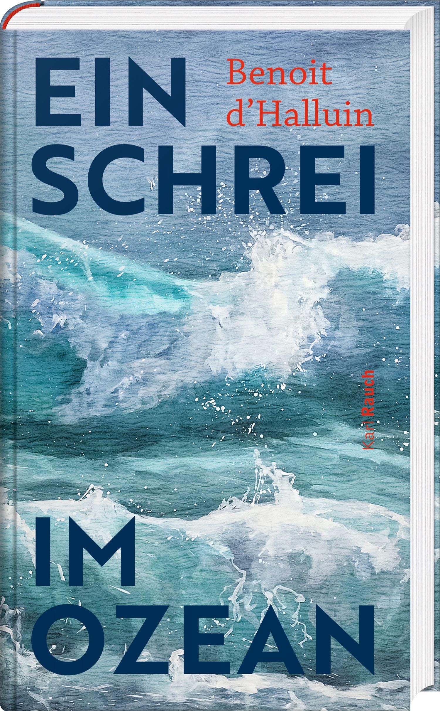 Vorderes Coverbild Ein Schrei im Ozean