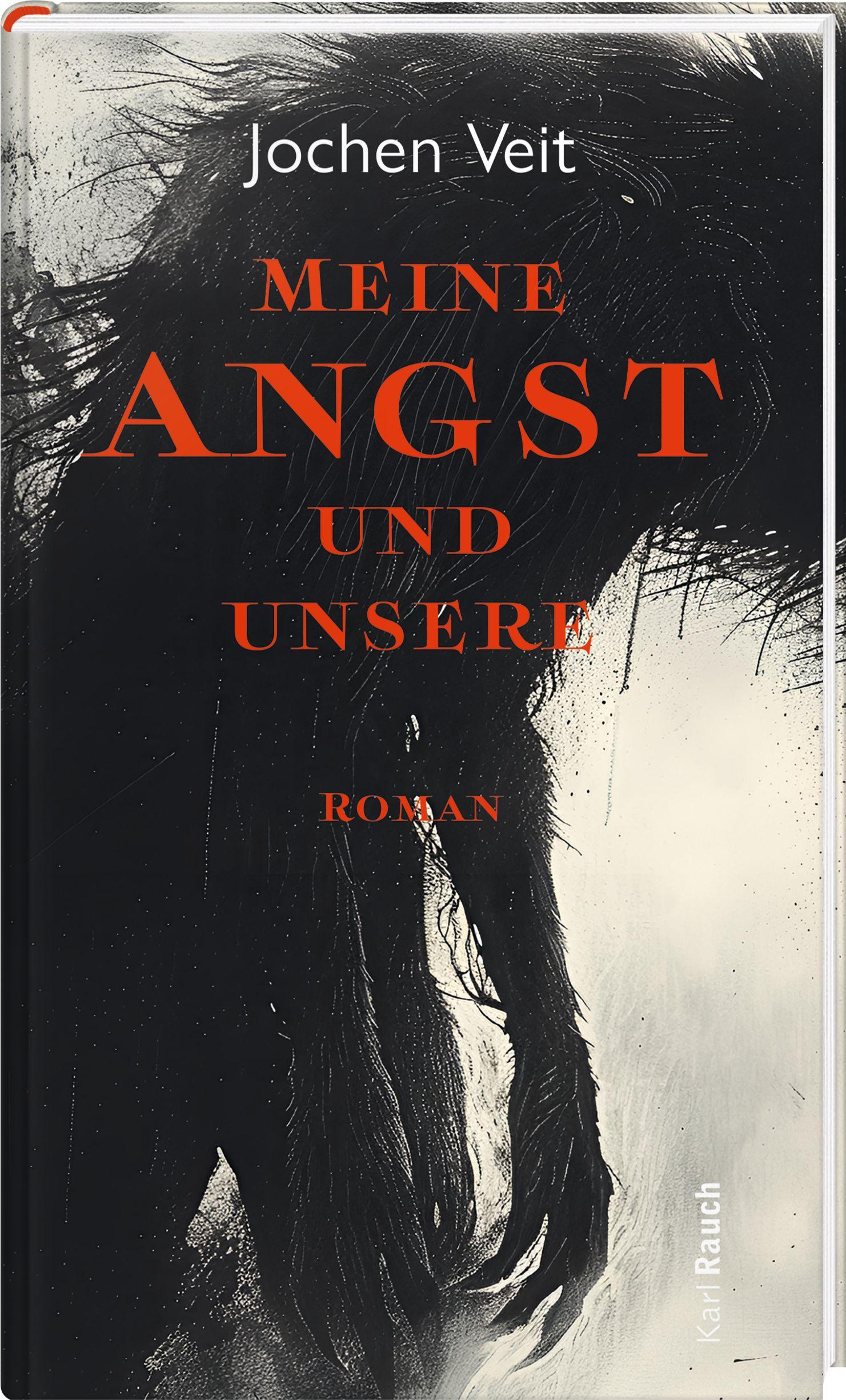 Vorderes Coverbild Meine Angst und unsere