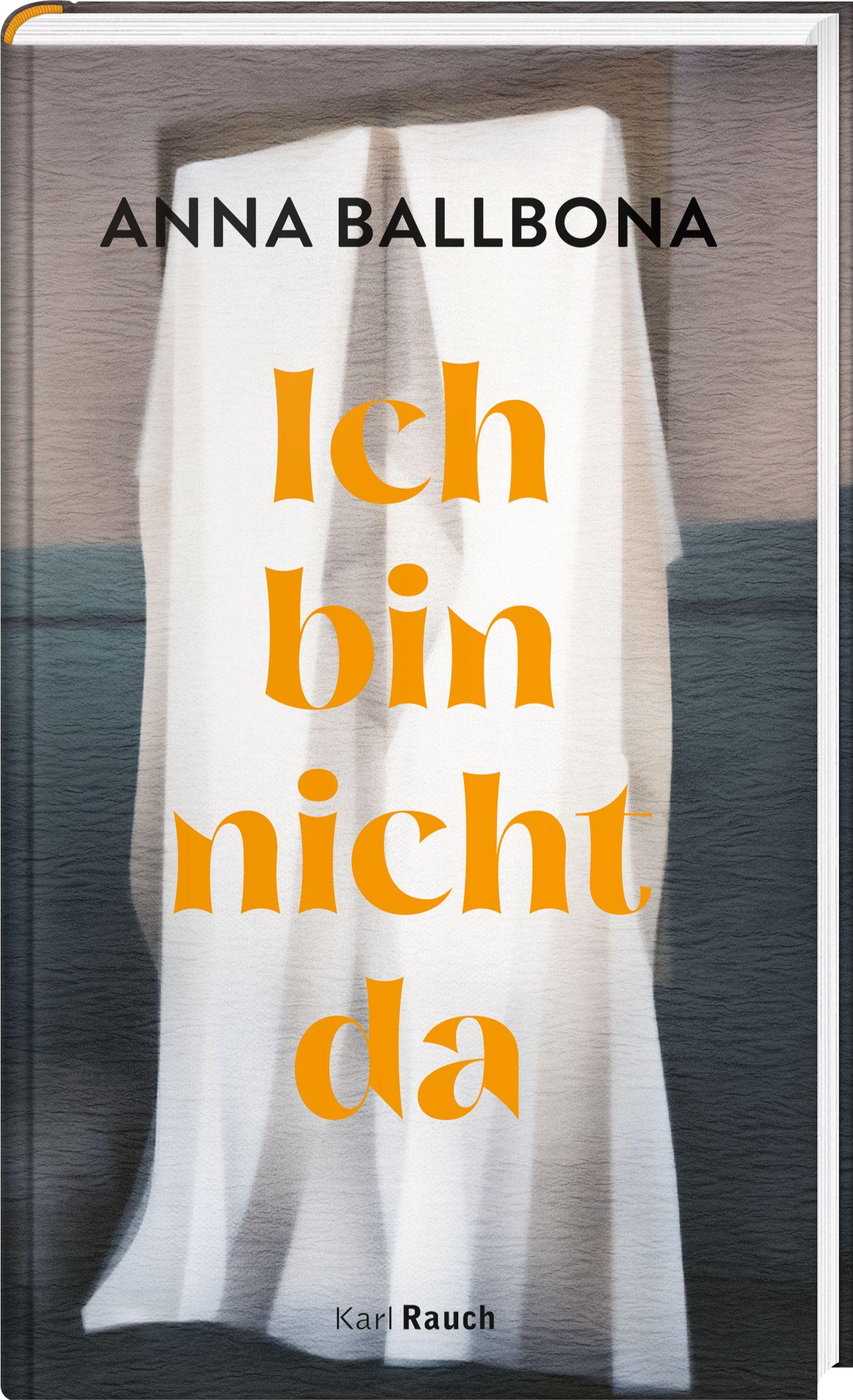 Vorderes Coverbild Ich bin nicht da