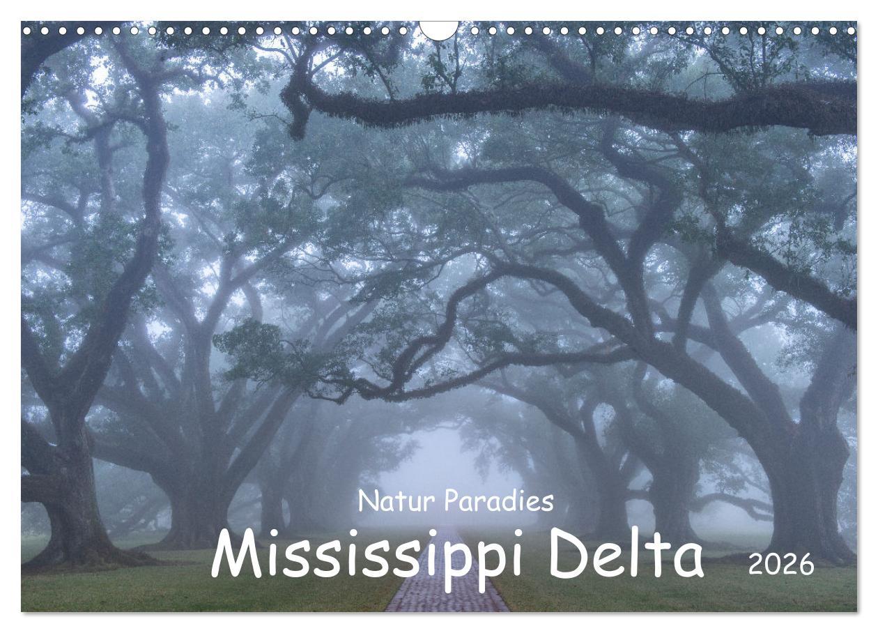Vorderes Coverbild Natur Paradies Mississippi Delta (Wandkalender 2026 DIN A3 quer), CALVENDO Monatskalender
