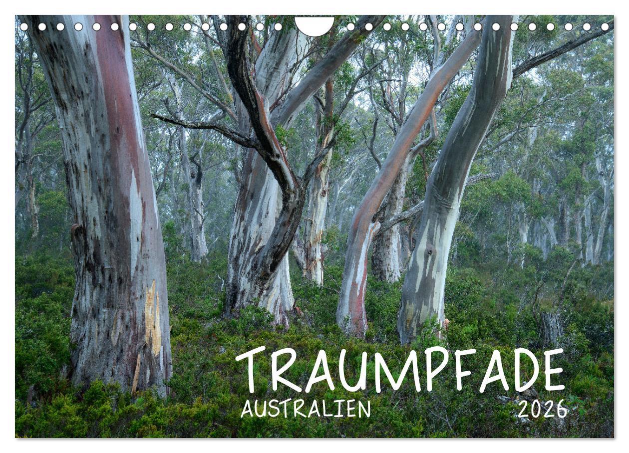 Vorderes Coverbild Traumpfade Australien (Wandkalender 2026 DIN A4 quer), CALVENDO Monatskalender