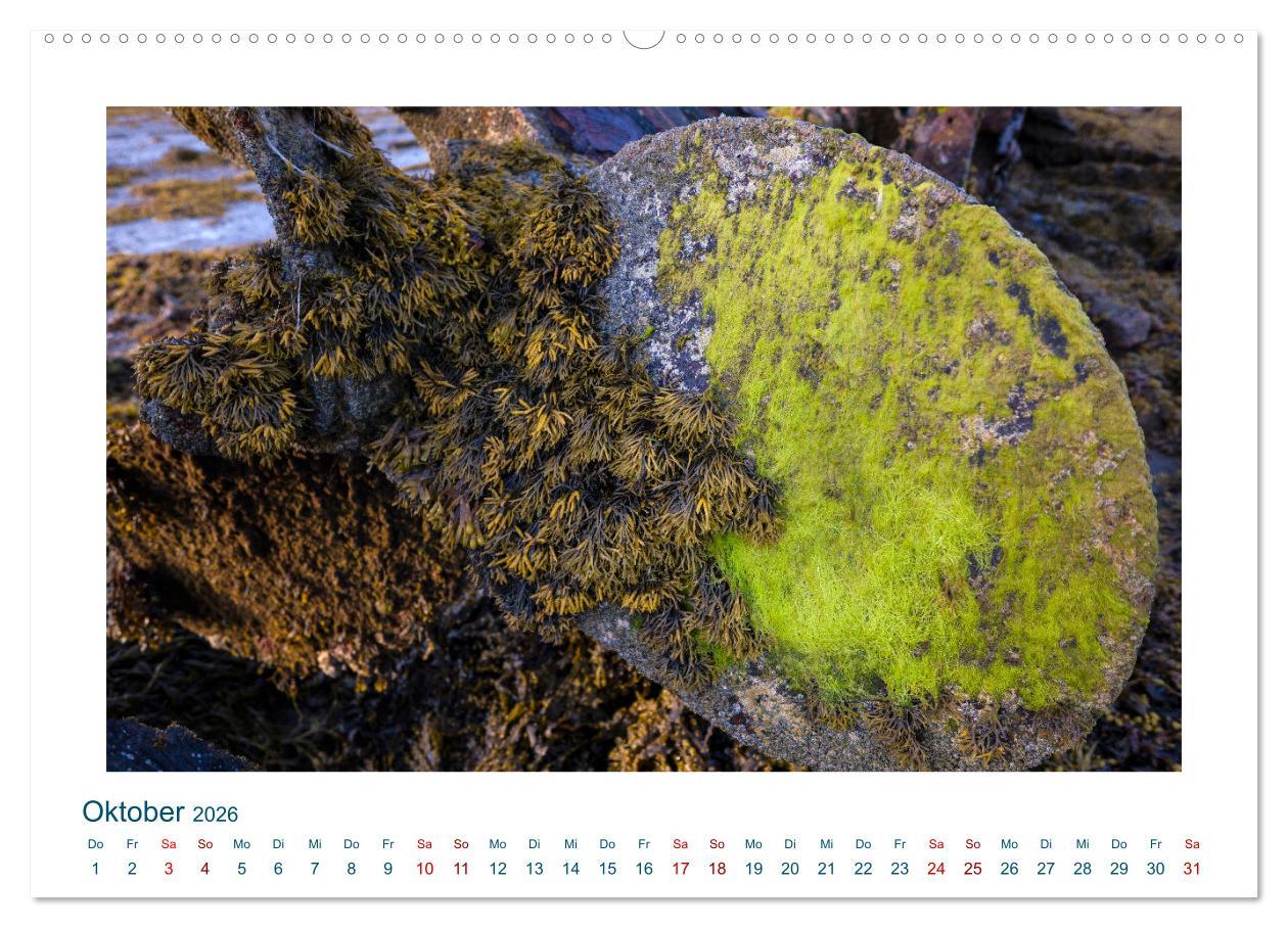 Beispielinhalt (Bild) Faszination Schiffsfriedhof (Wandkalender 2026 DIN A2 quer), CALVENDO Monatskalender