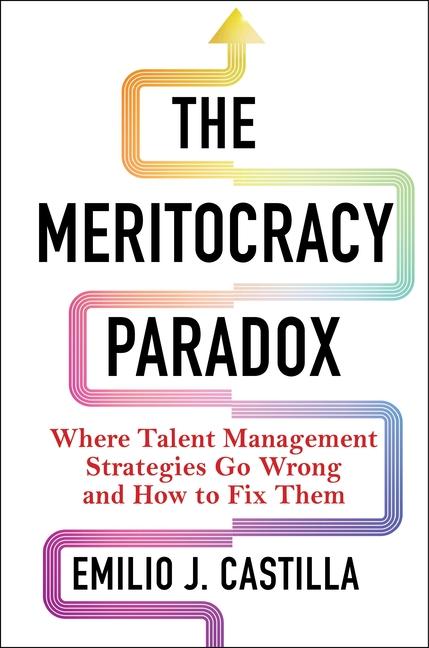 Vorderes Coverbild The Meritocracy Paradox