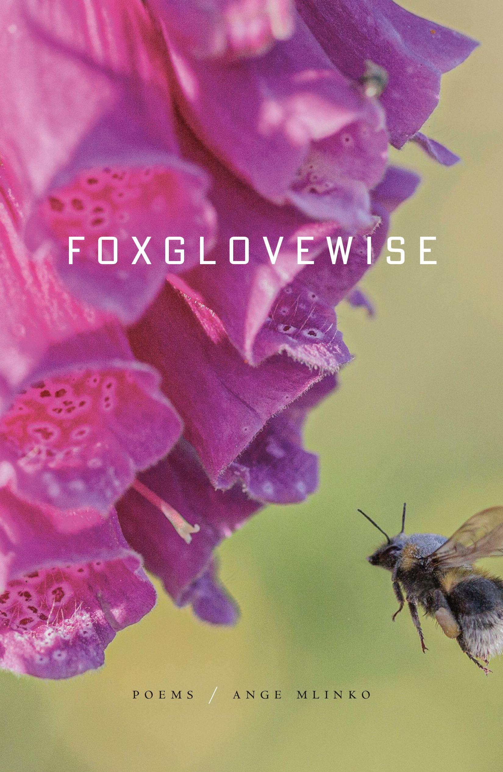 Vorderes Coverbild Foxglovewise