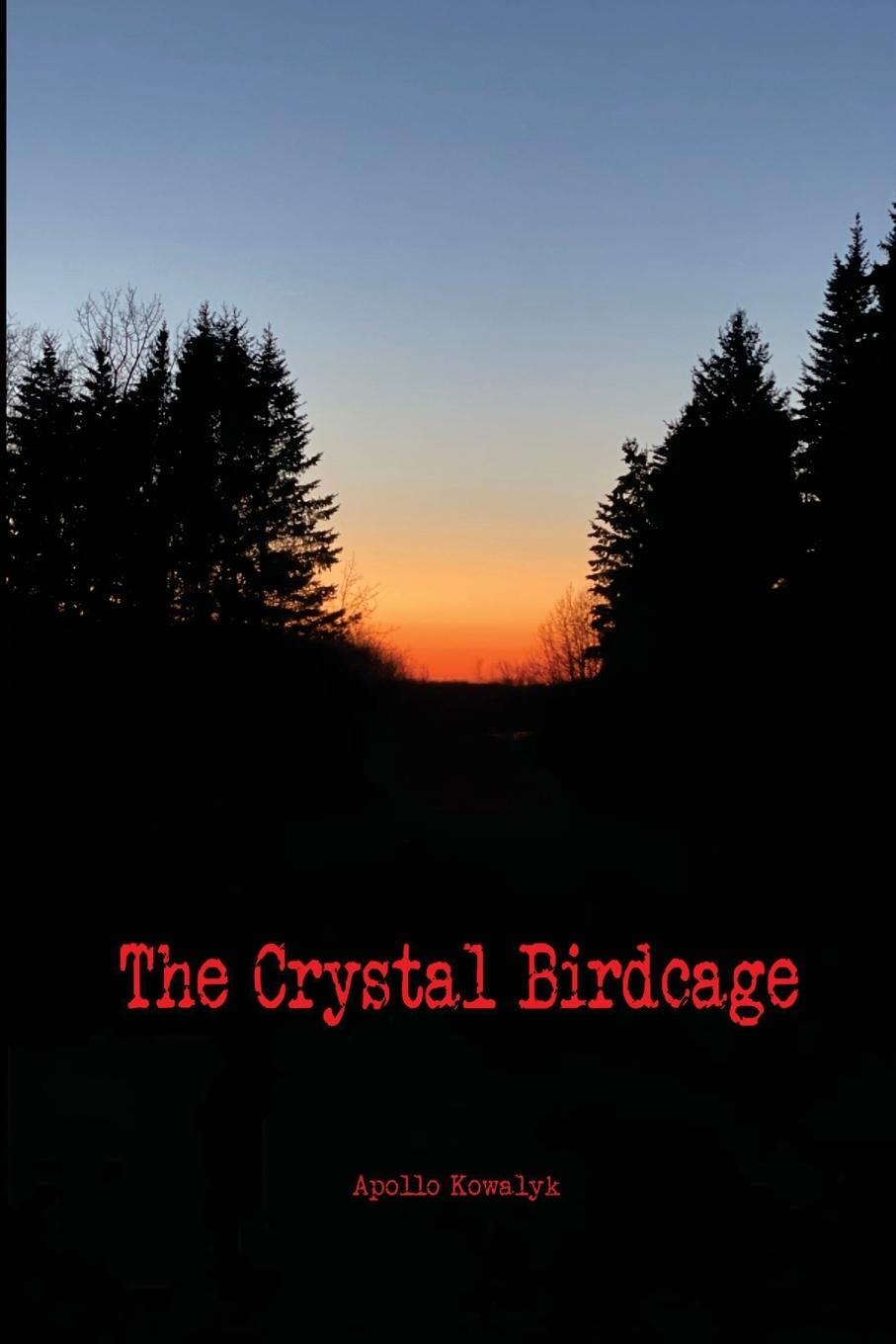 Vorderes Coverbild The Crystal Birdcage
