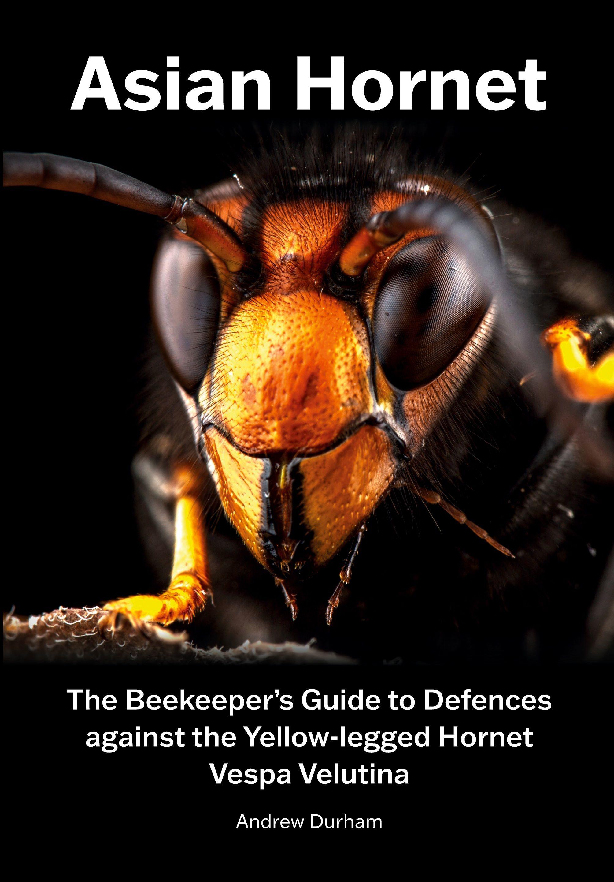 Vorderes Coverbild Asian Hornet The Beekeeper's Guide to Defences against the Yellow-legged Hornet Vespa Velutina