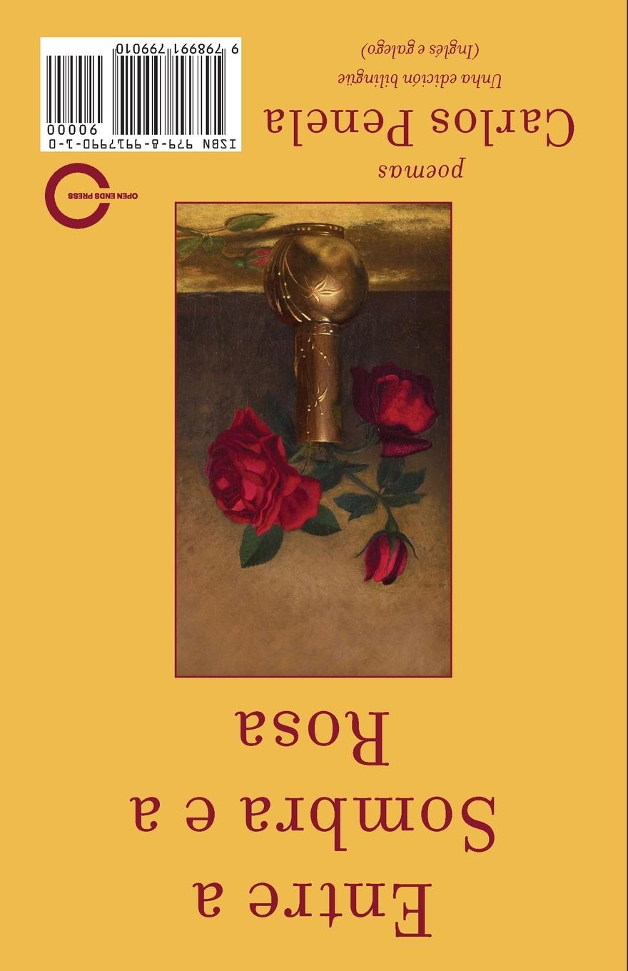 Rückseitencover Between the  Shadow and the Rose.  Selected poems 2001-2024