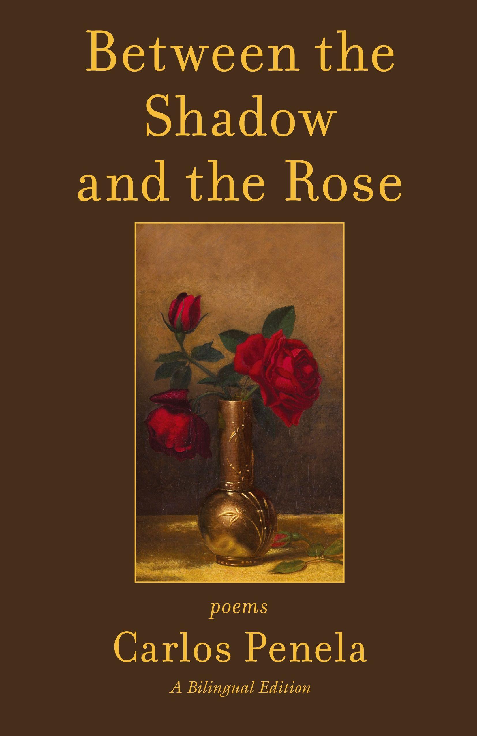 Vorderes Coverbild Between the  Shadow and the Rose.  Selected poems 2001-2024