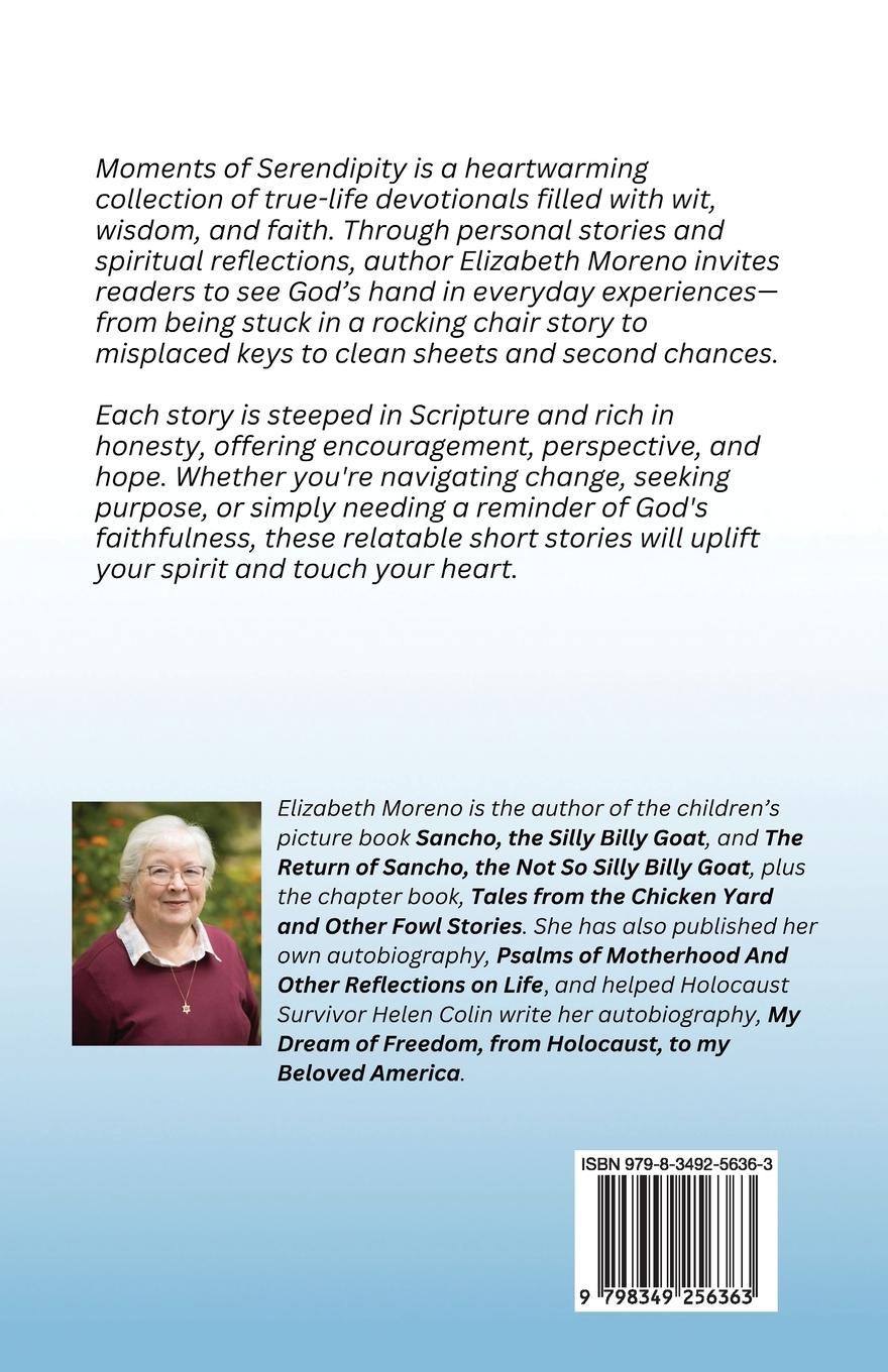 Rückseitencover Moments of serendipity