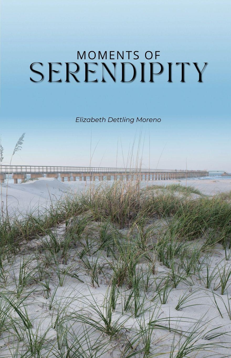 Vorderes Coverbild Moments of serendipity