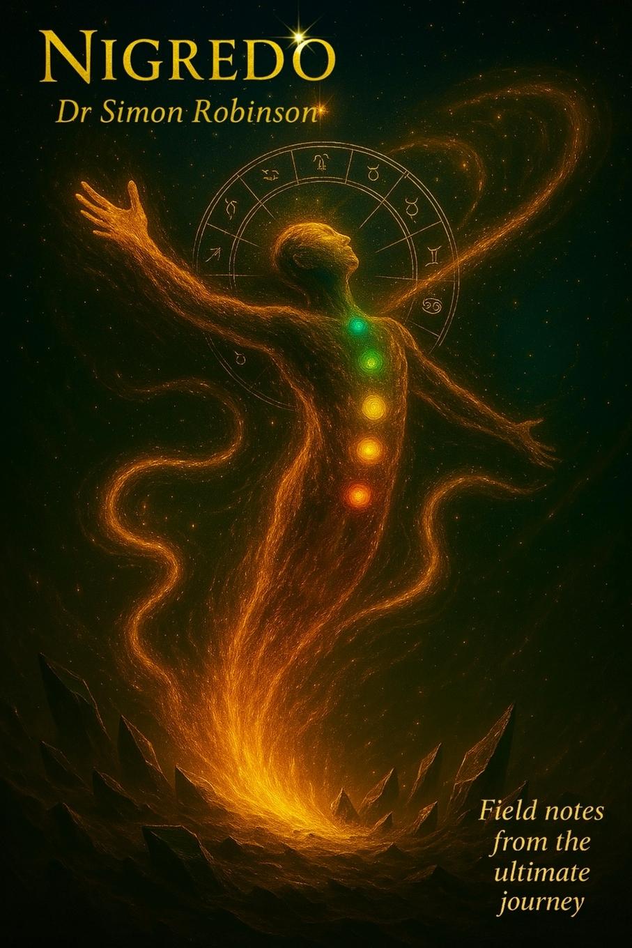 Vorderes Coverbild Nigredo