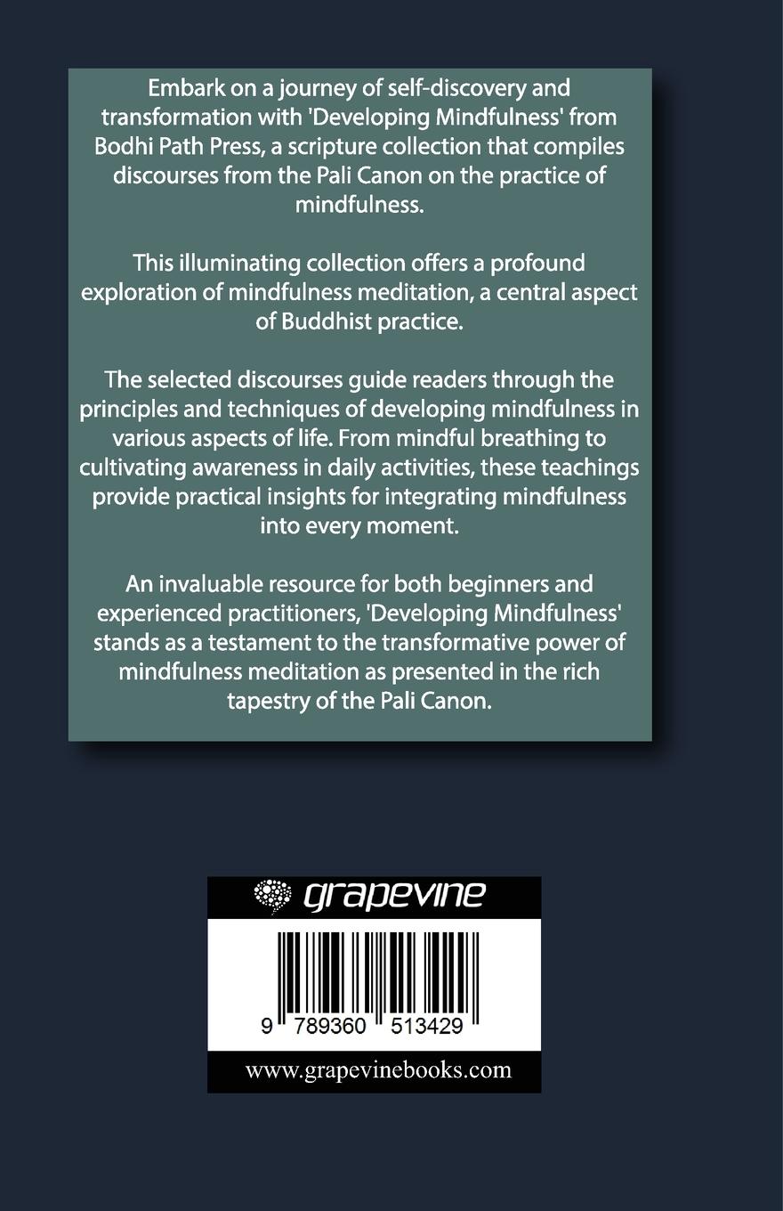 Rückseitencover Developing Mindfulness