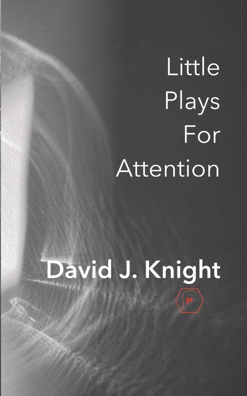 Vorderes Coverbild Little Plays For Attention