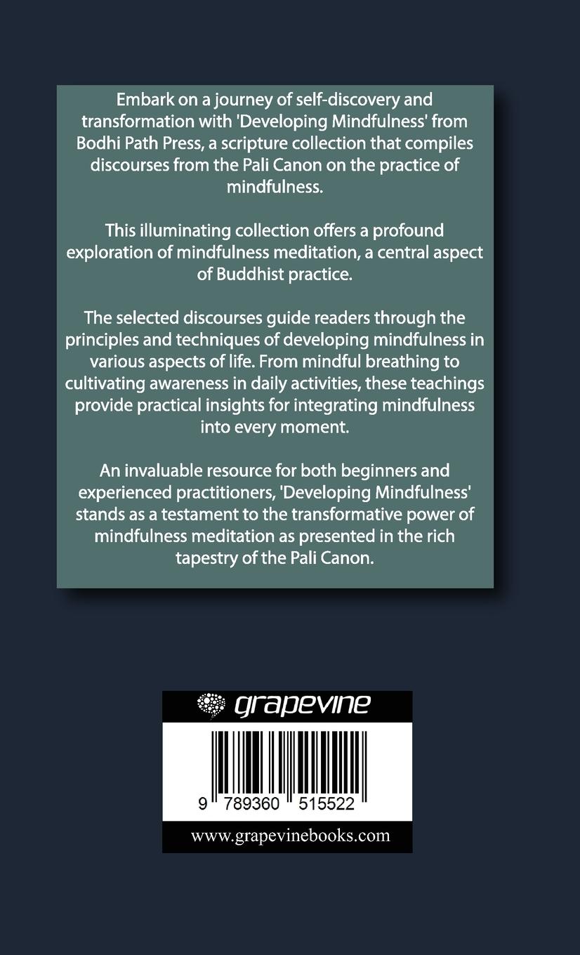 Rückseitencover Developing Mindfulness