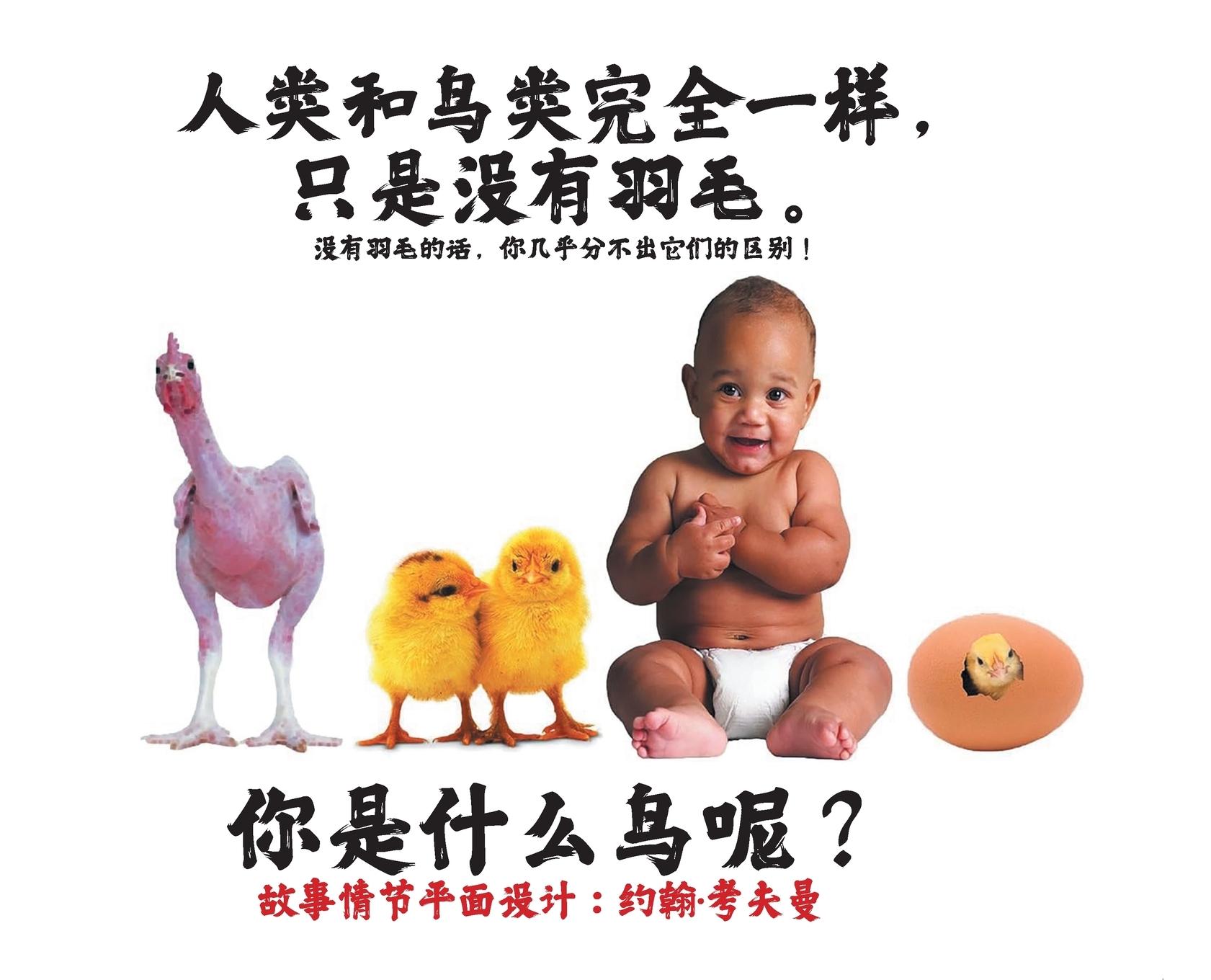 Vorderes Coverbild &#20154;&#31867;&#21644;&#40479;&#31867;&#23436;&#20840;&#19968;&#26679;&#65292;&#21482;&#26159;&#27809;&#26377;&#32701;&#27611;&#12290;