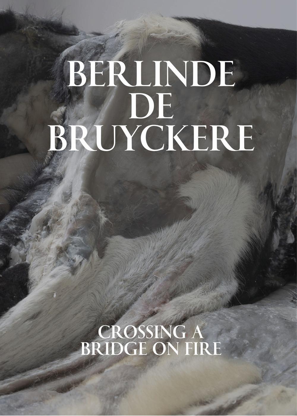 Vorderes Coverbild Berlinde de Bruyckere: Crossing a Bridge on Fire