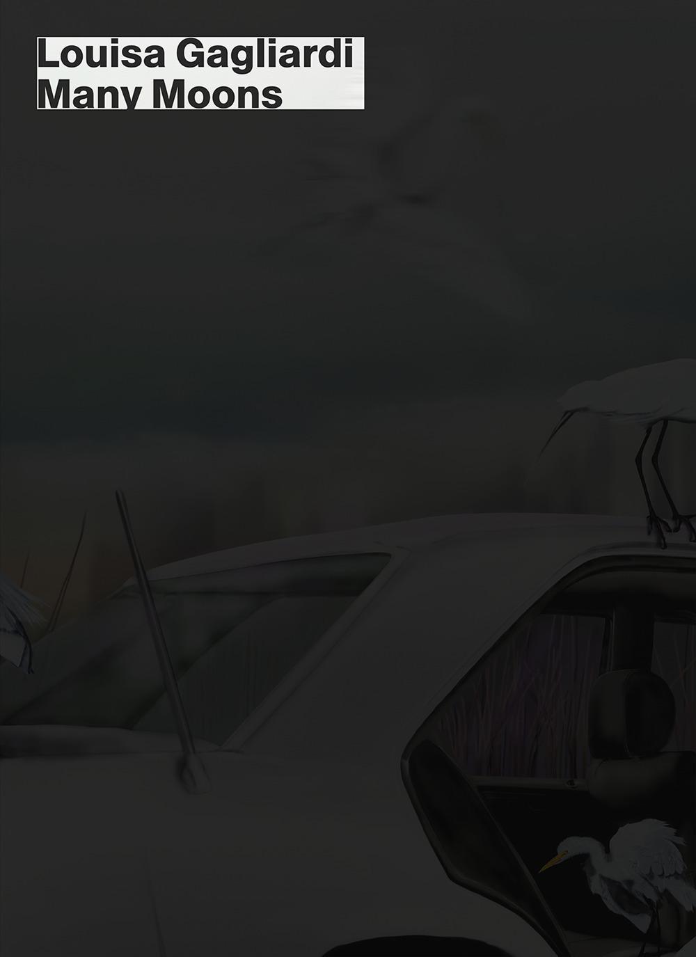 Vorderes Coverbild Louisa Gagliardi: Many Moons