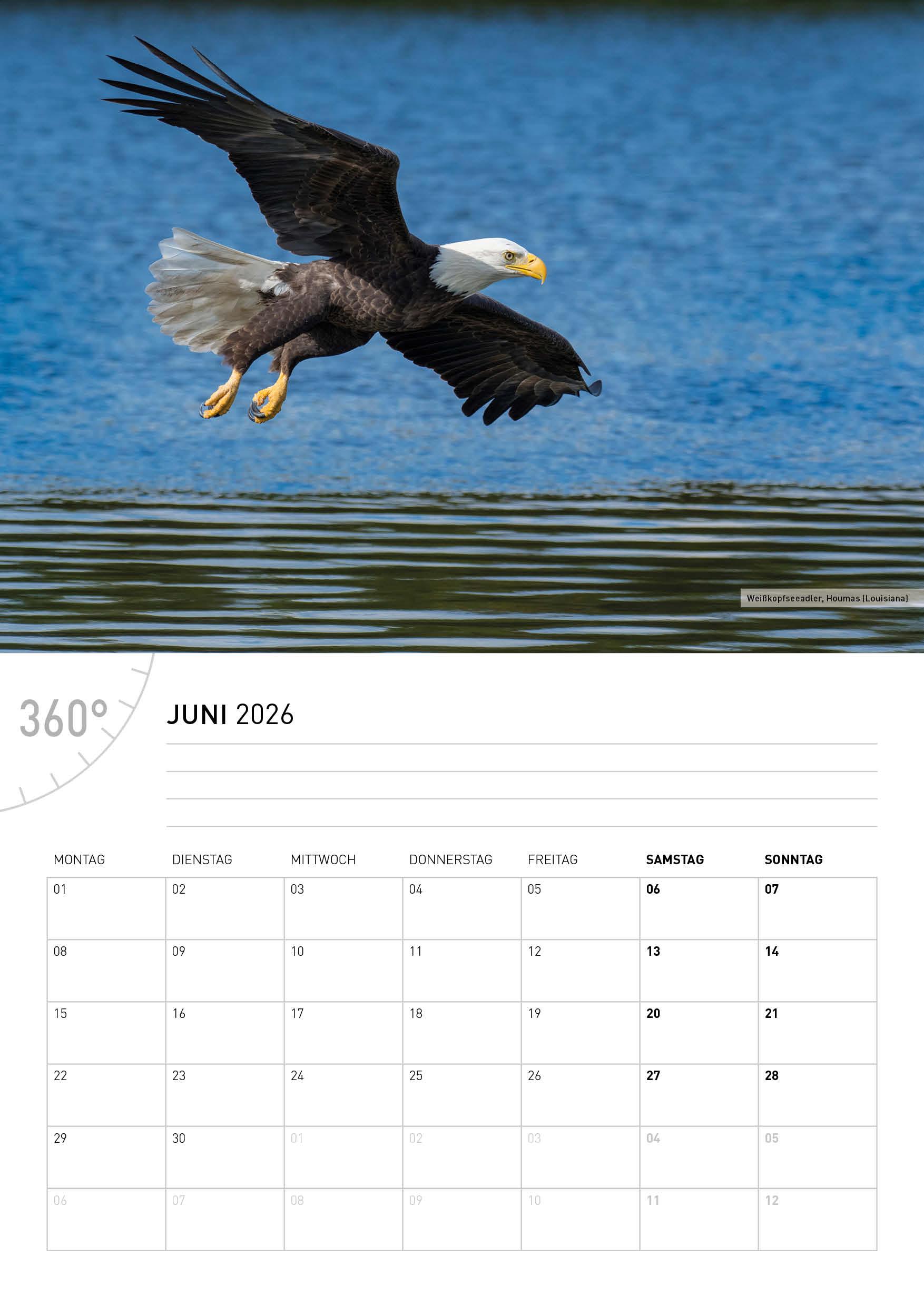 Beispielinhalt (Bild) USA Broschürenkalender 2026