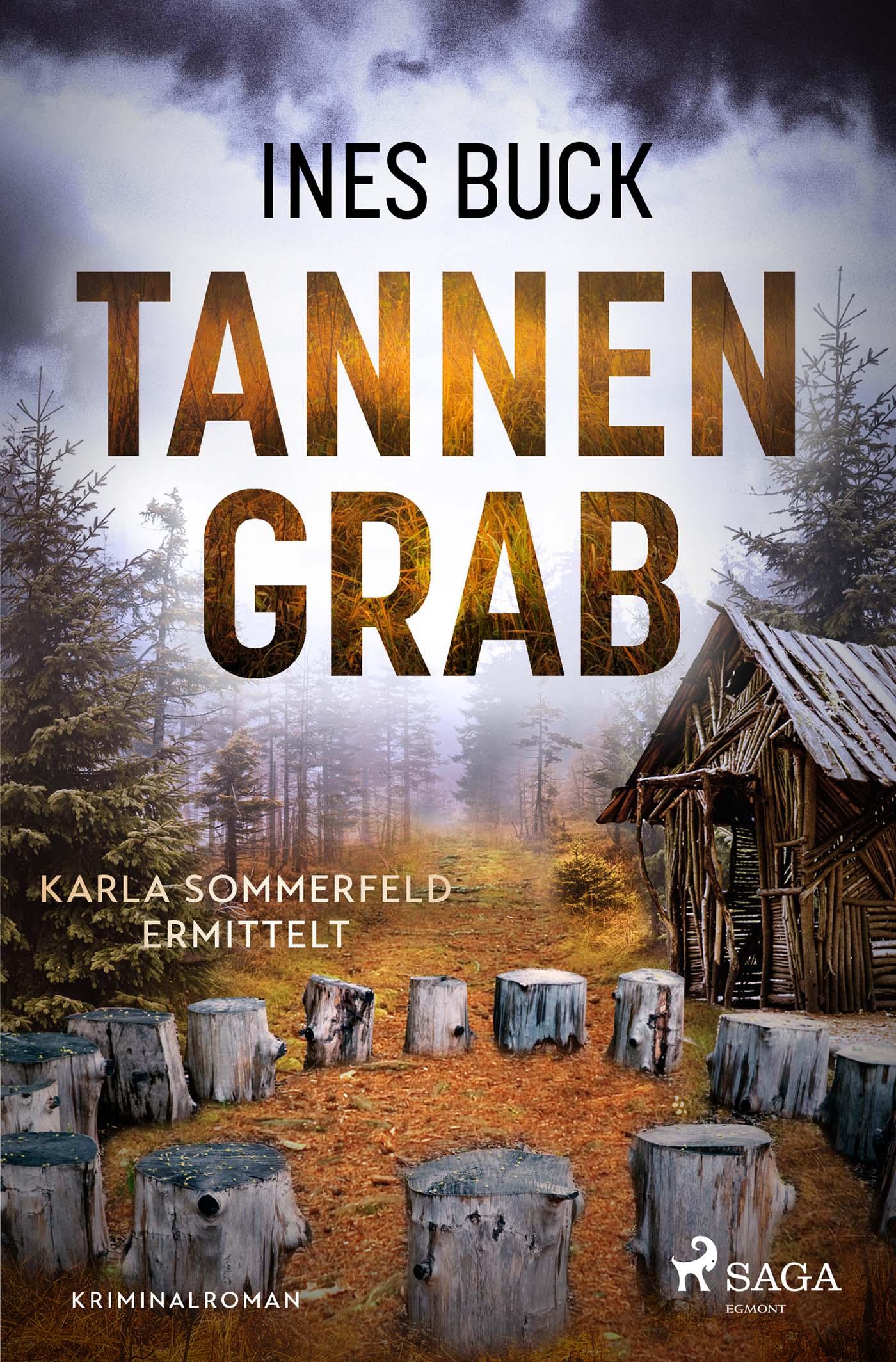 Vorderes Coverbild Tannengrab - Karla Sommerfeld ermittelt